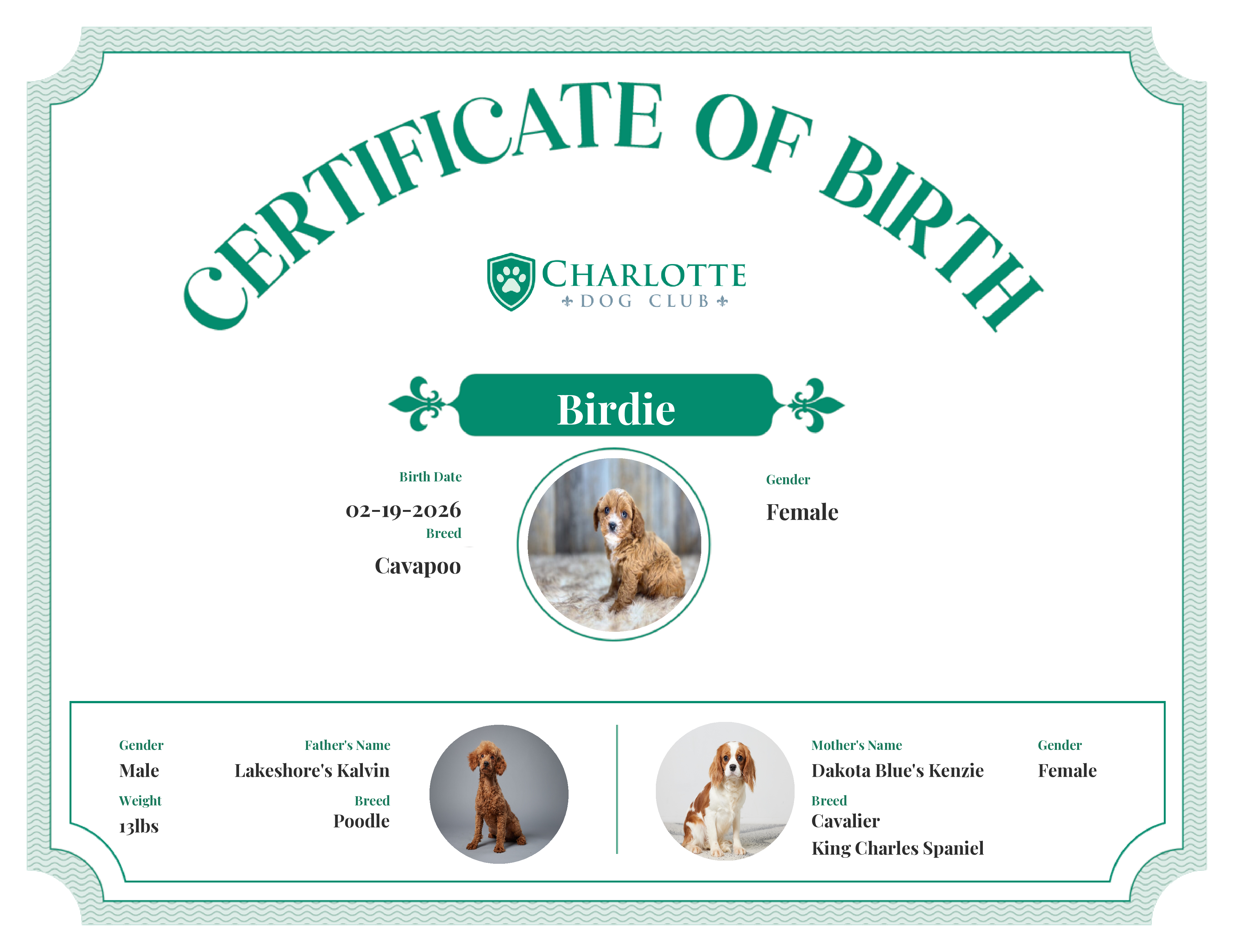 Birdie's Birth Certificate