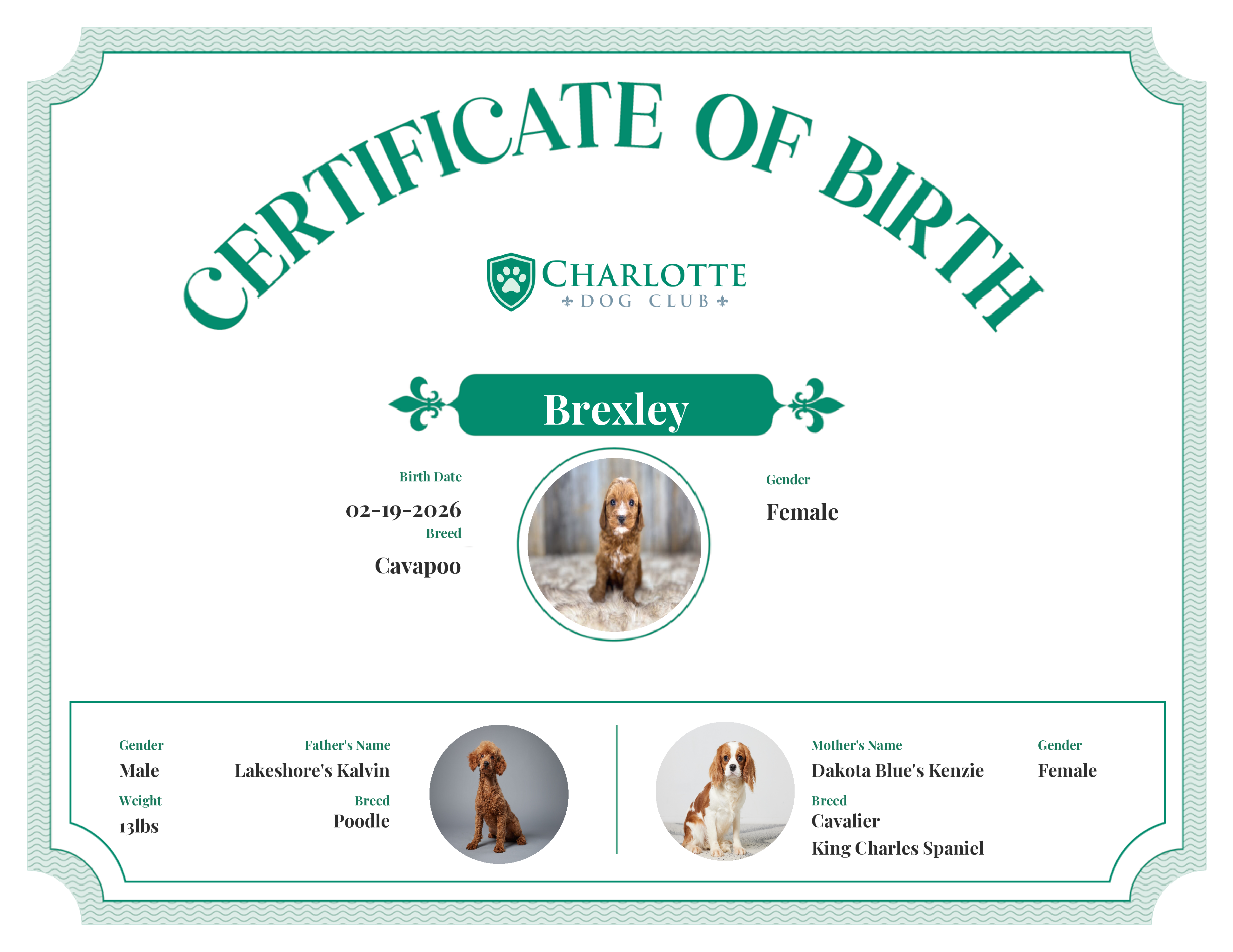 Brexley's Birth Certificate