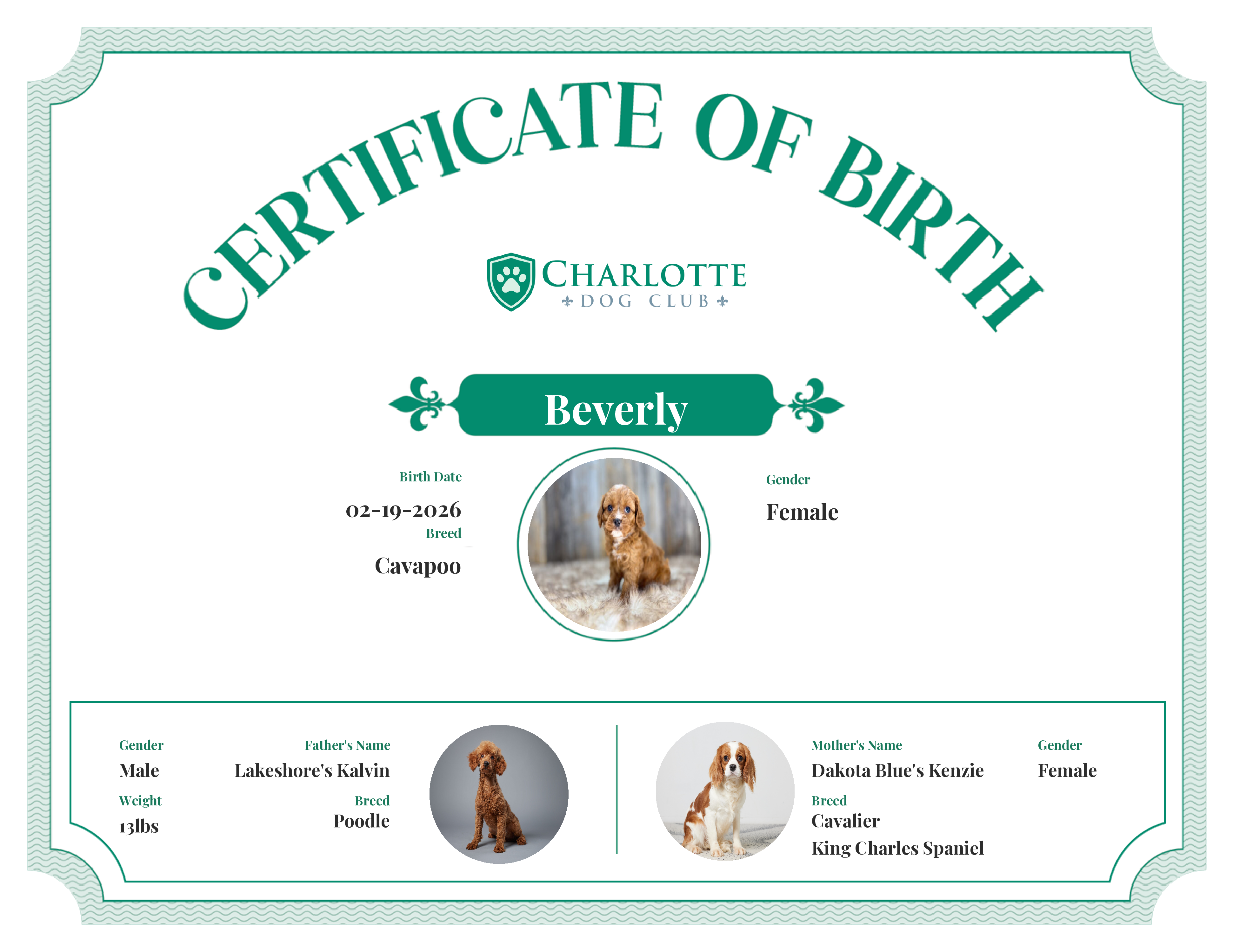 Beverly's Birth Certificate