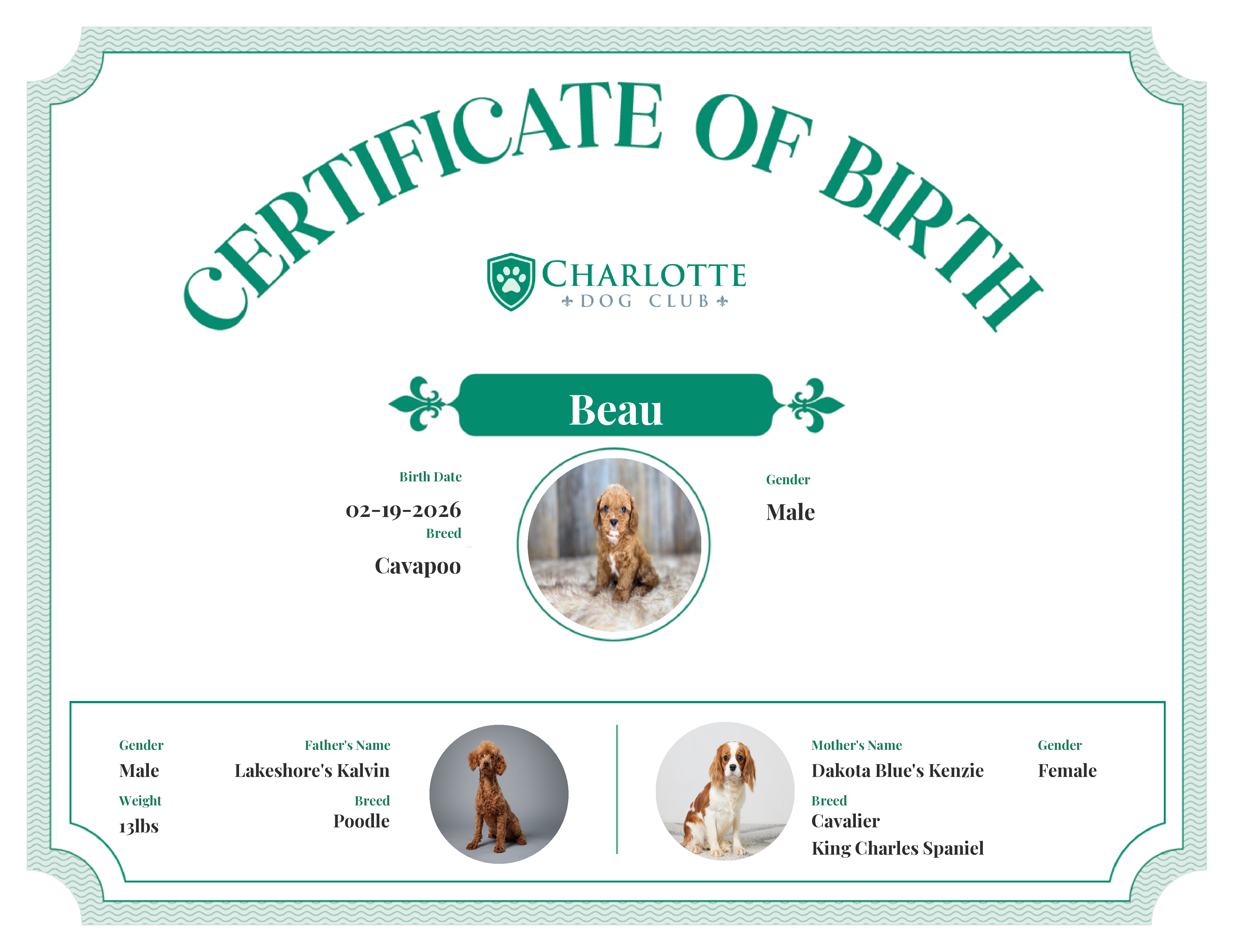 Beau's Birth Certificate