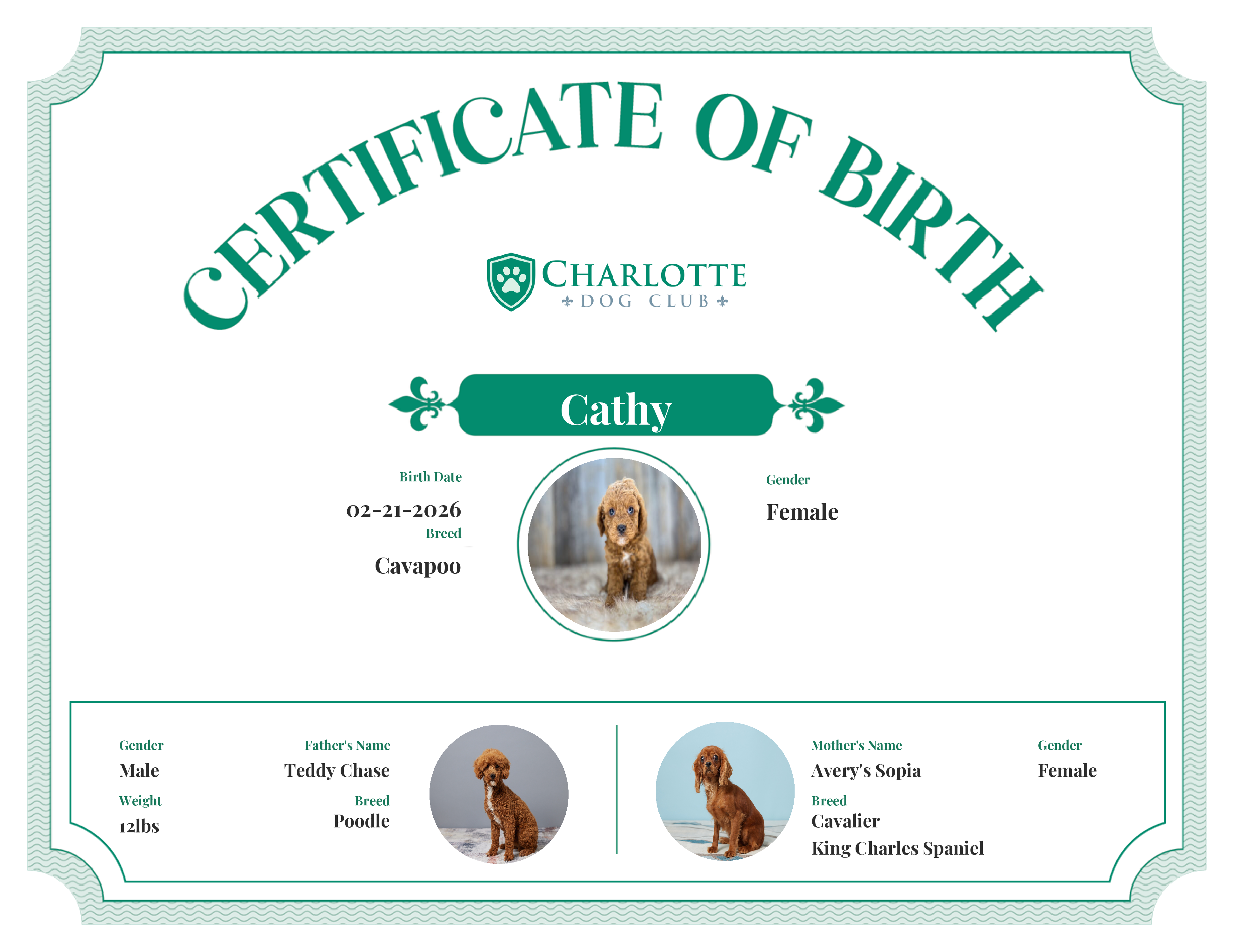 Cathy's Birth Certificate