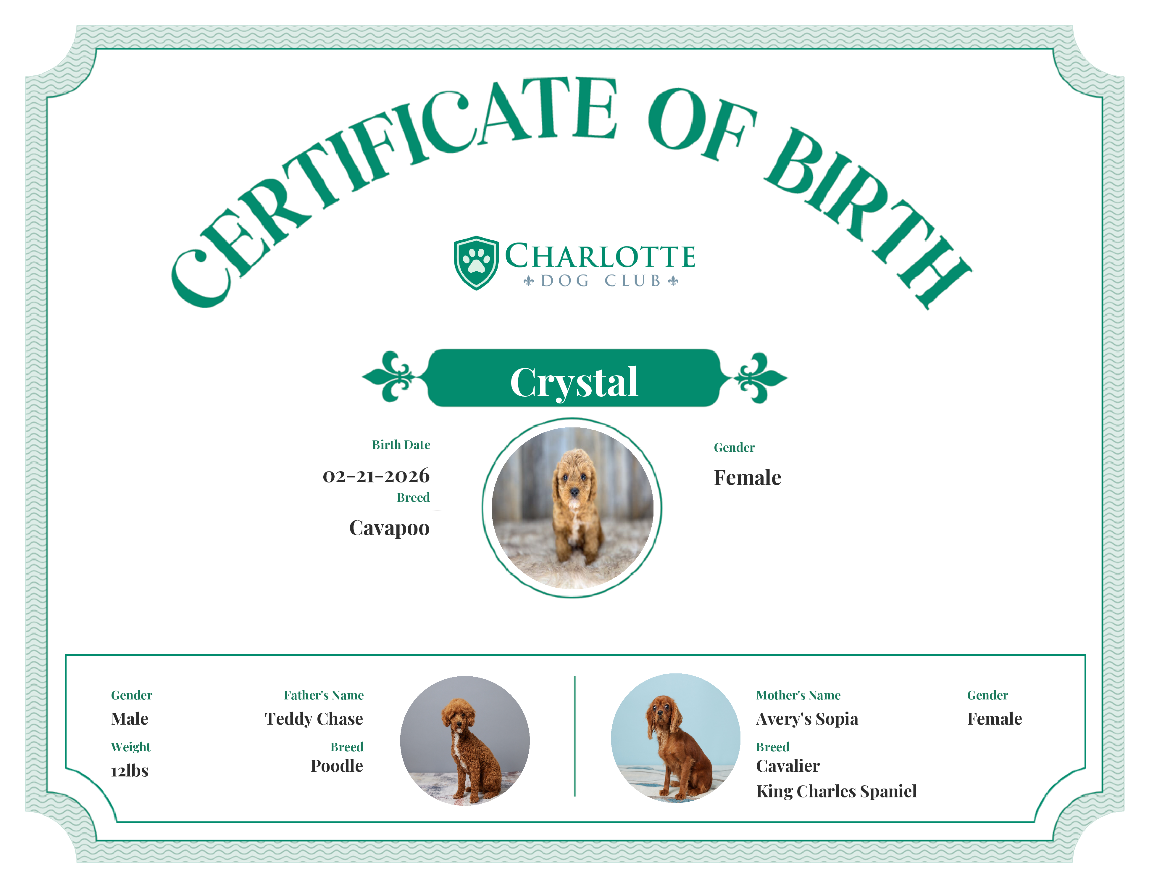 Crystal's Birth Certificate