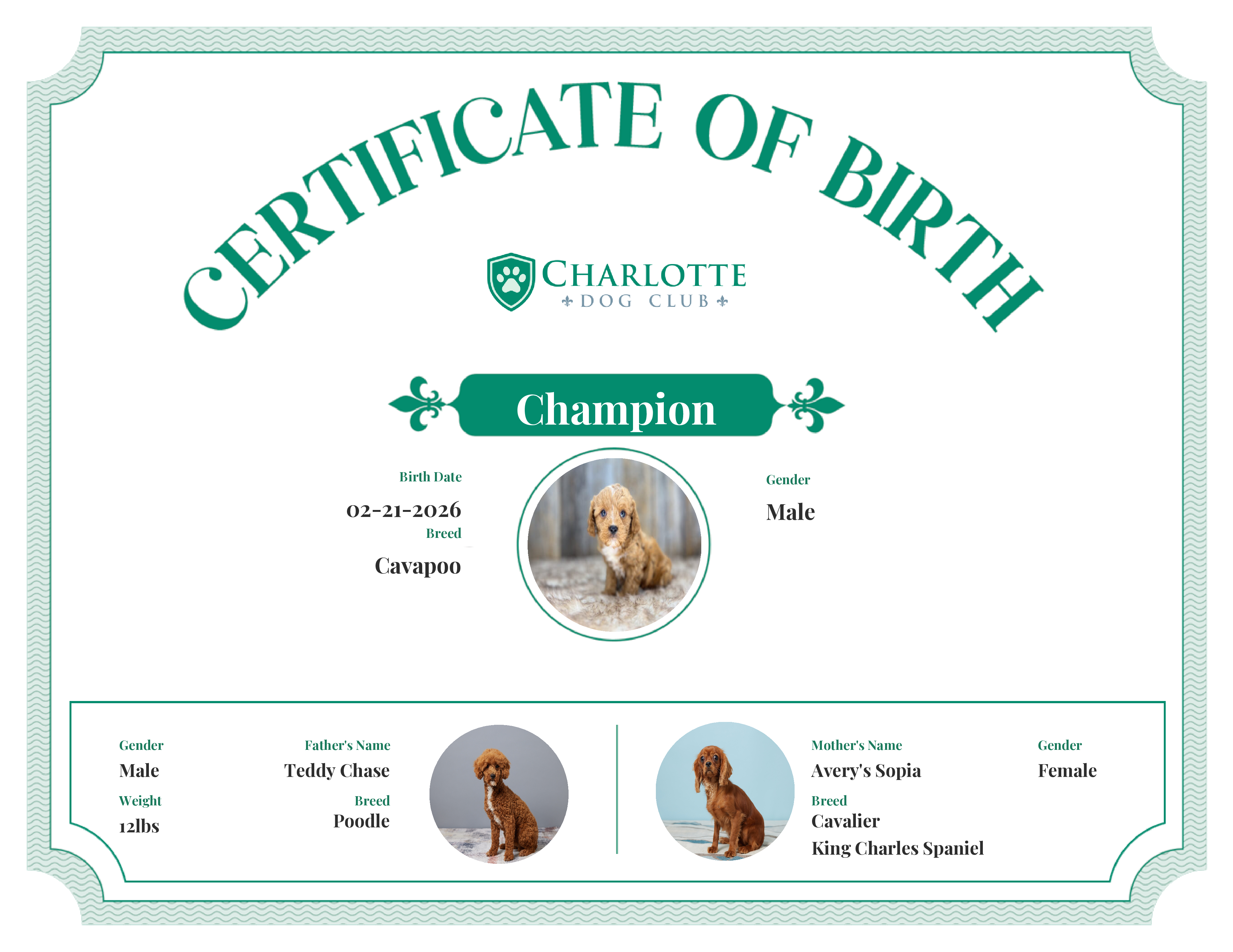 Champion's Birth Certificate