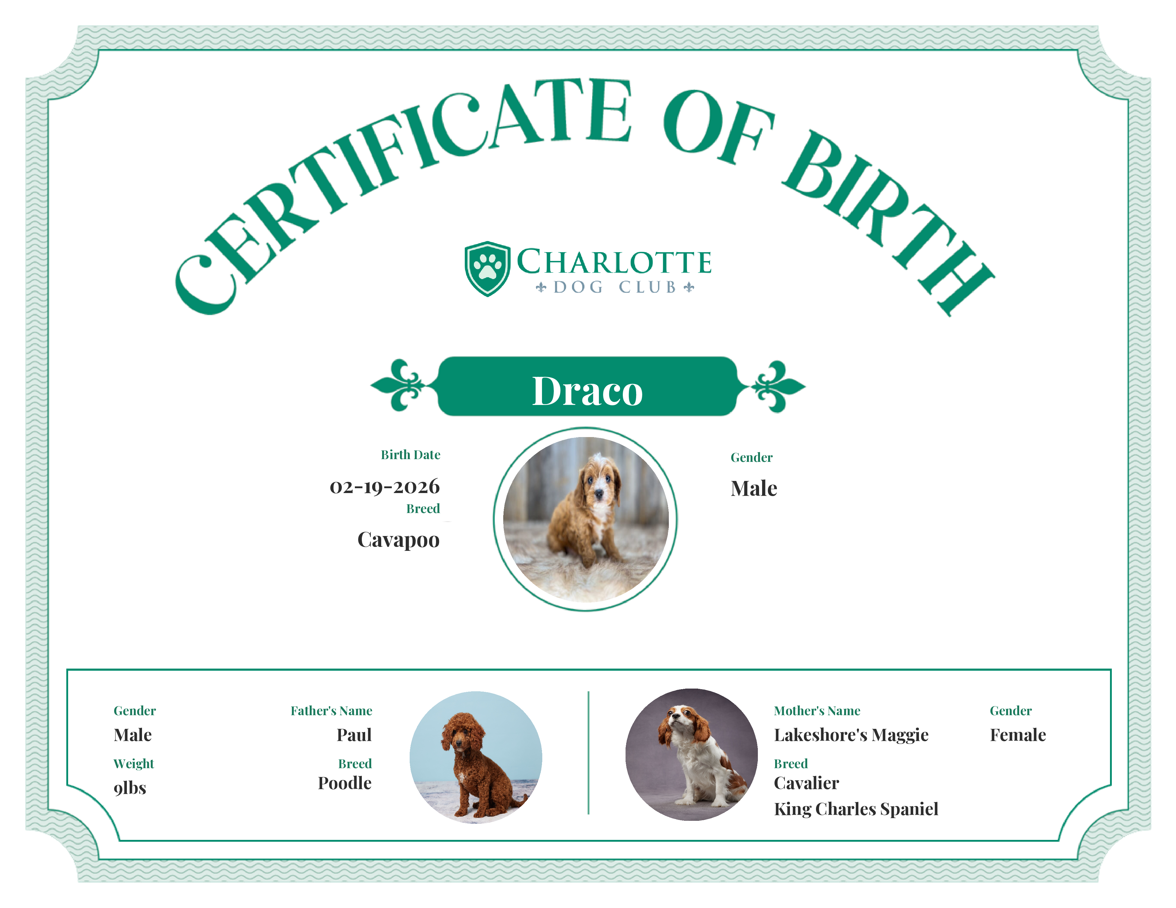 Draco's Birth Certificate