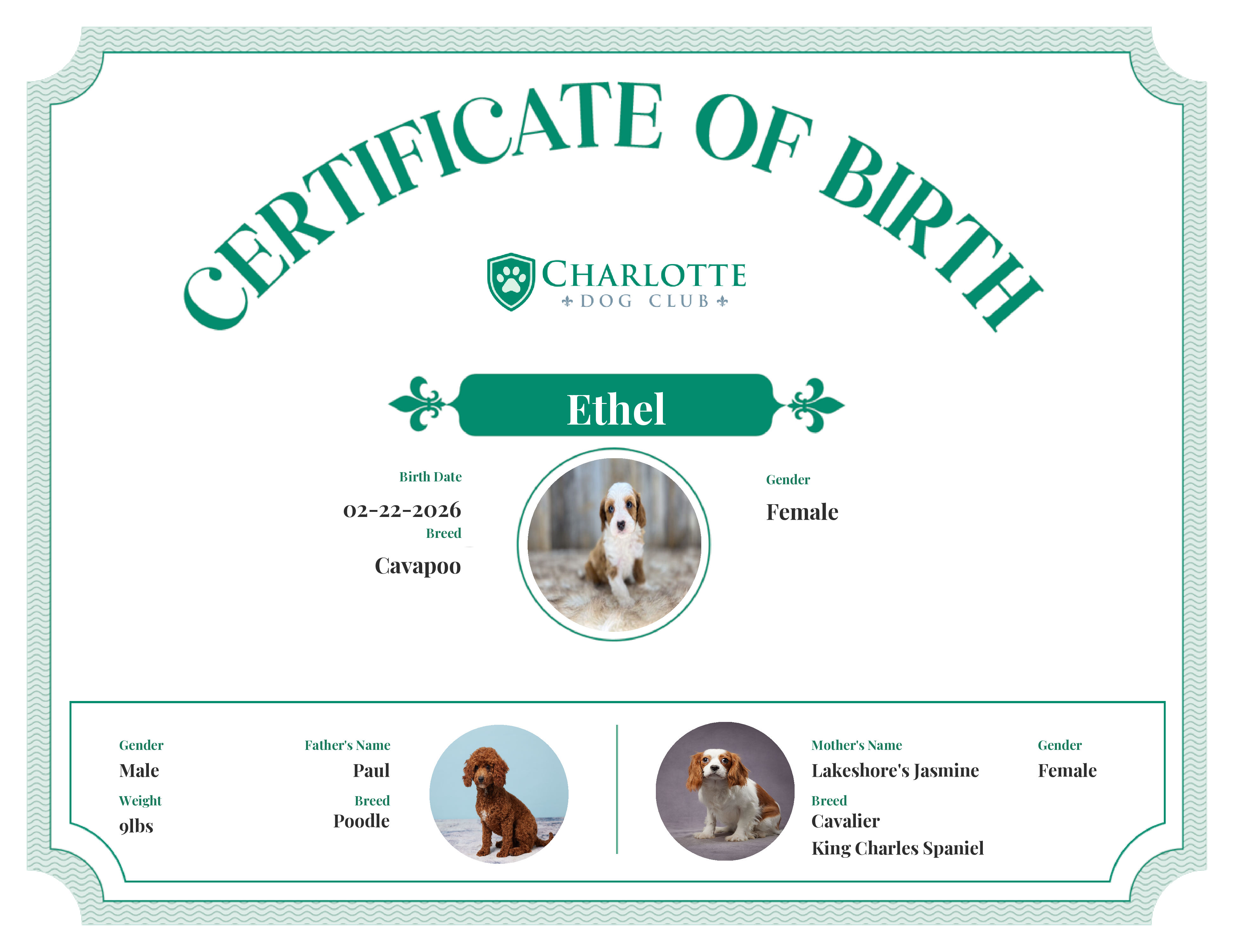 Ethel's Birth Certificate