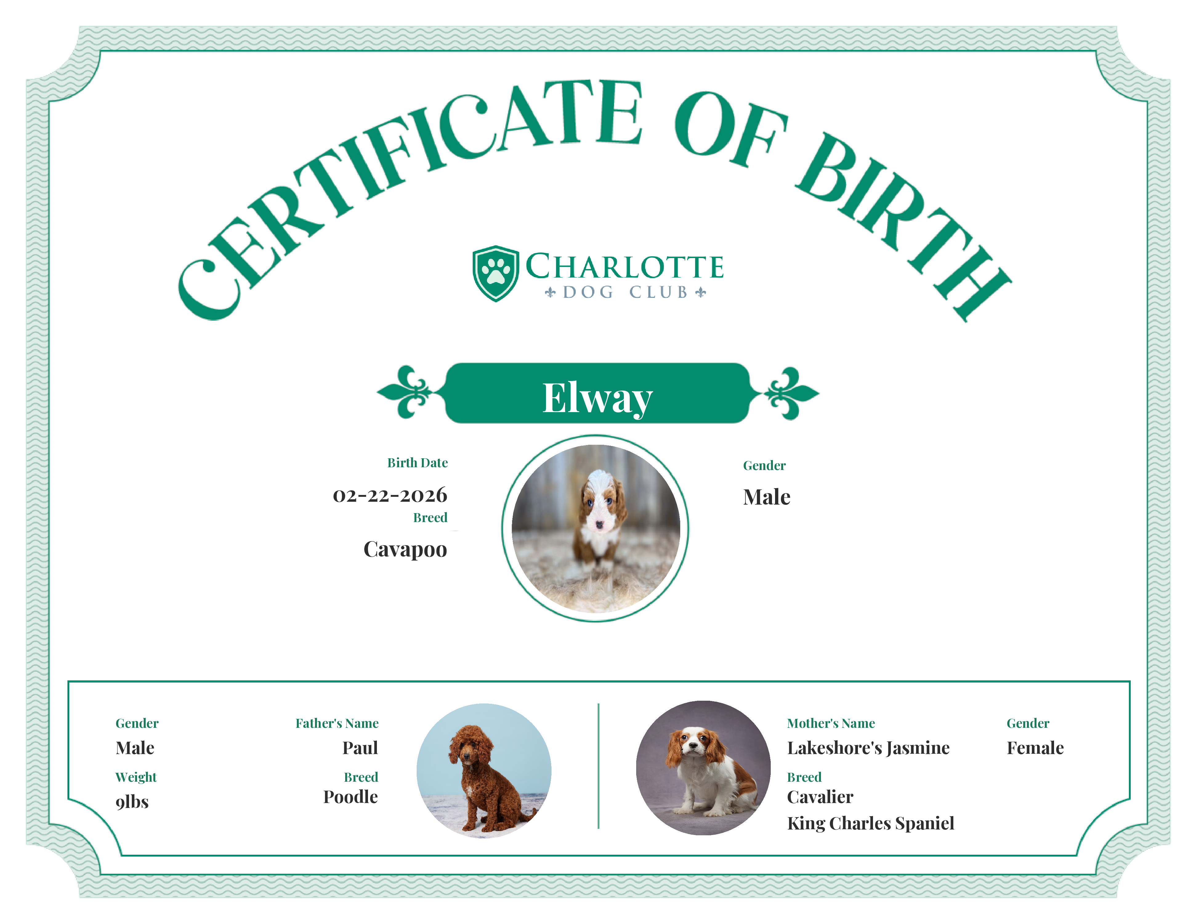 Elway's Birth Certificate