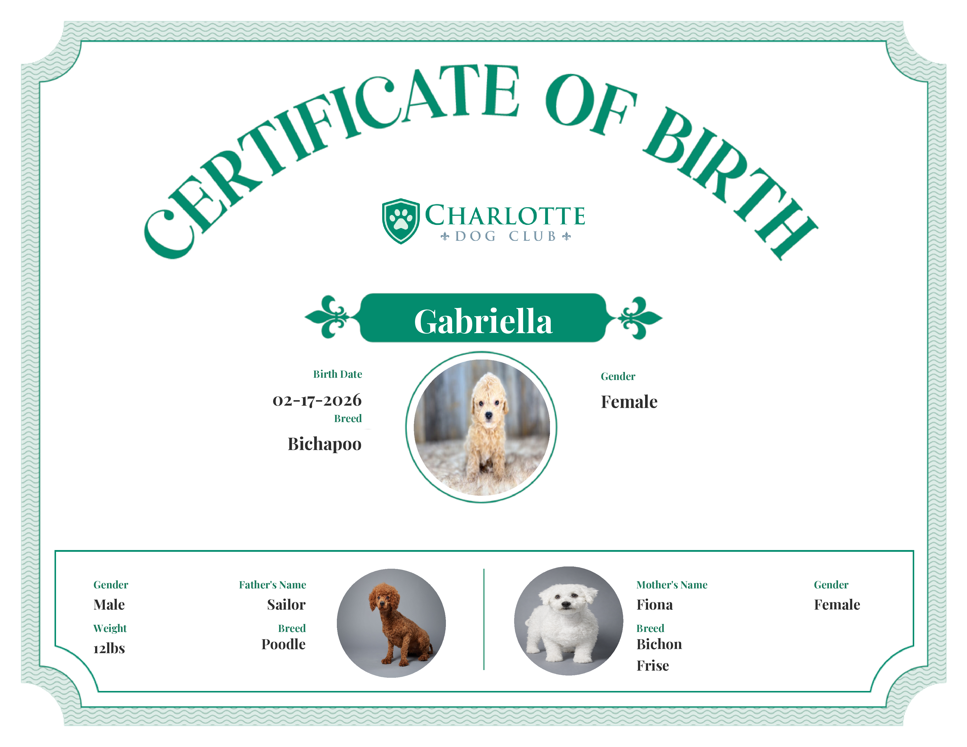 Gabriella's Birth Certificate