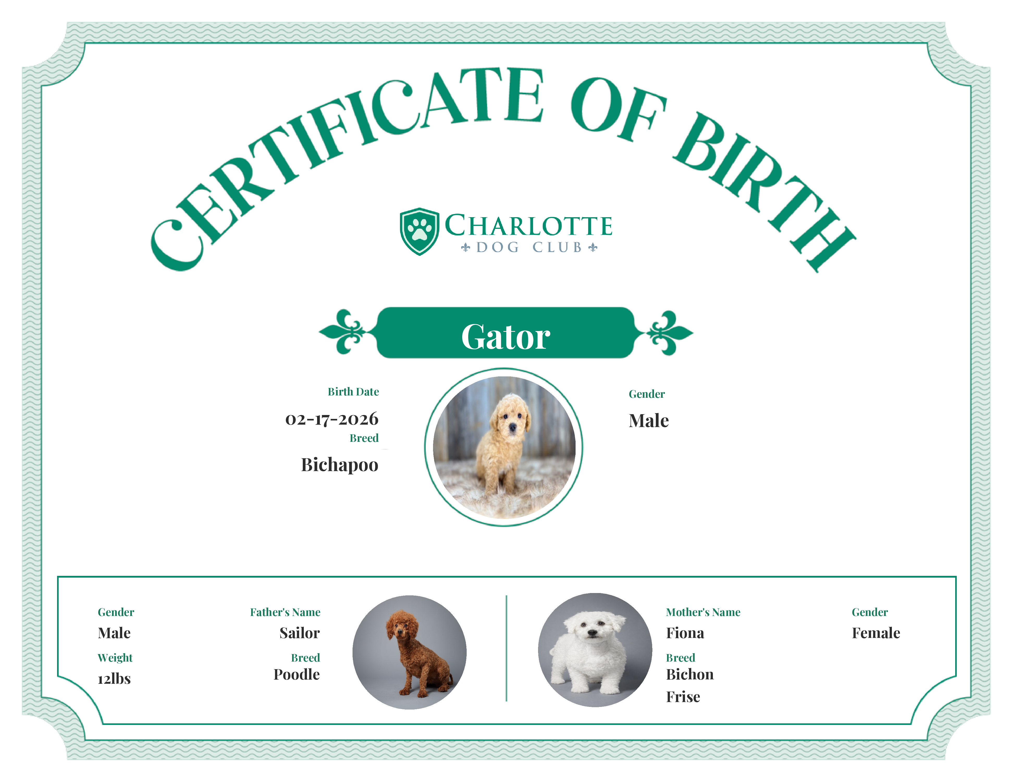 Gator's Birth Certificate