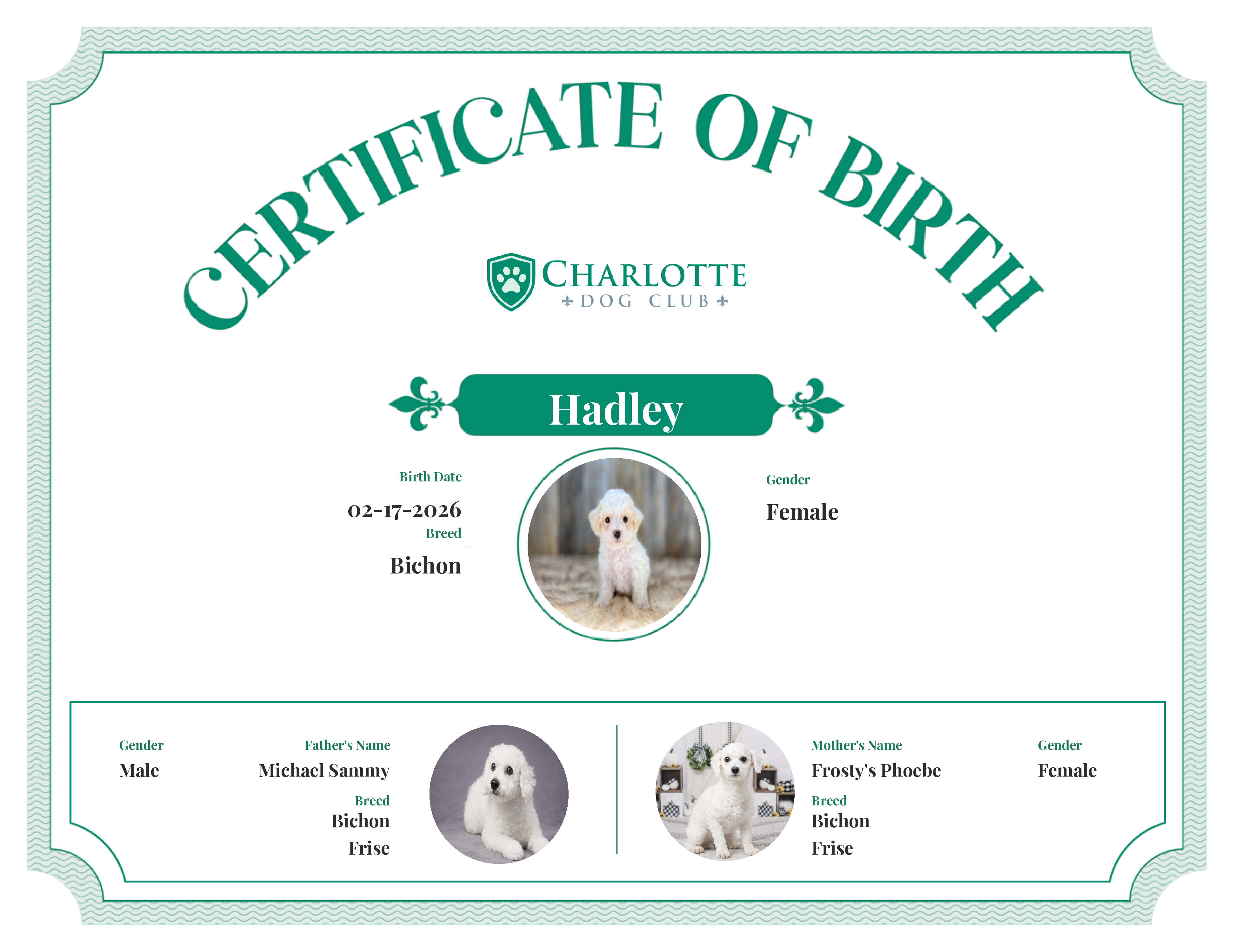 Hadley's Birth Certificate