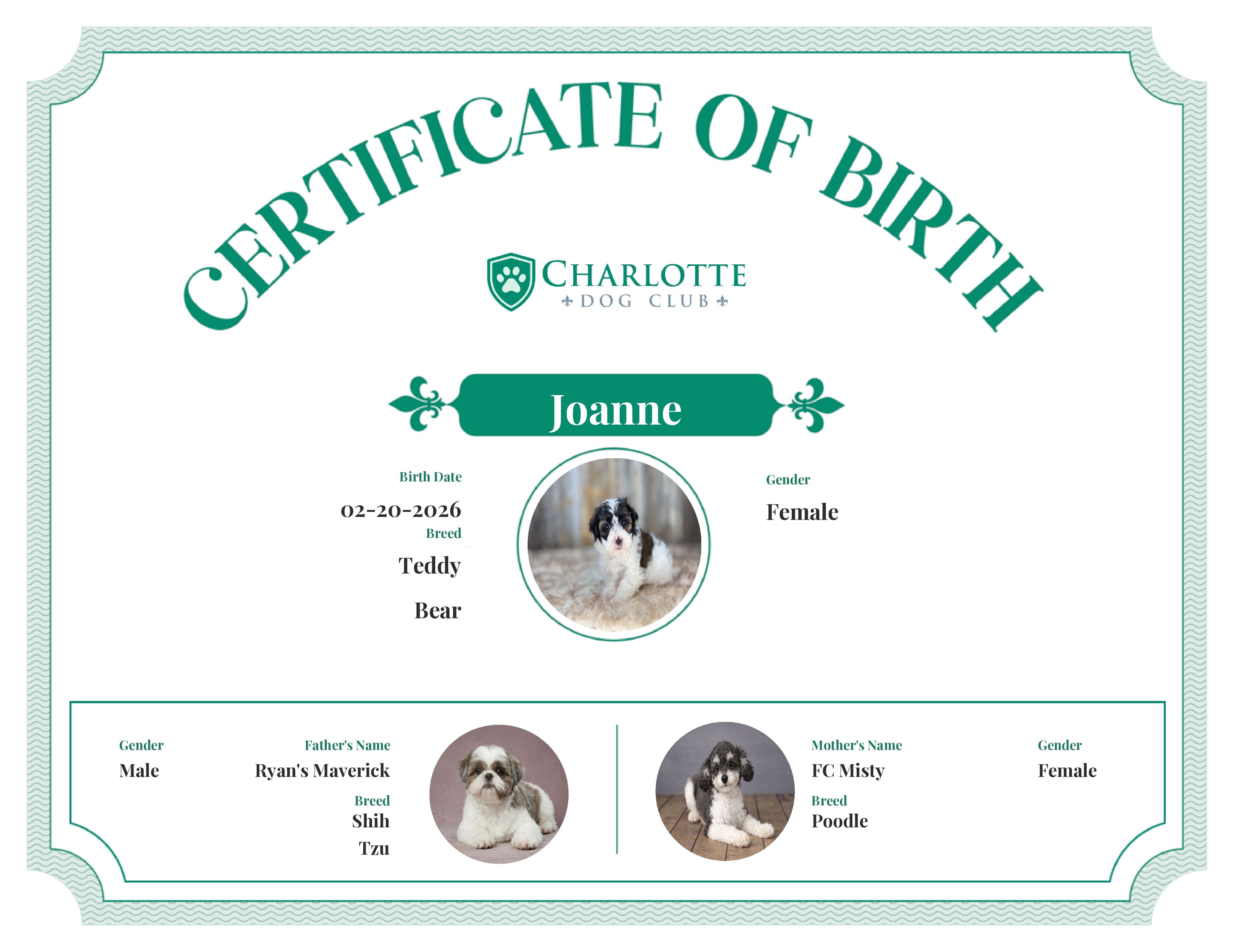Joanne's Birth Certificate