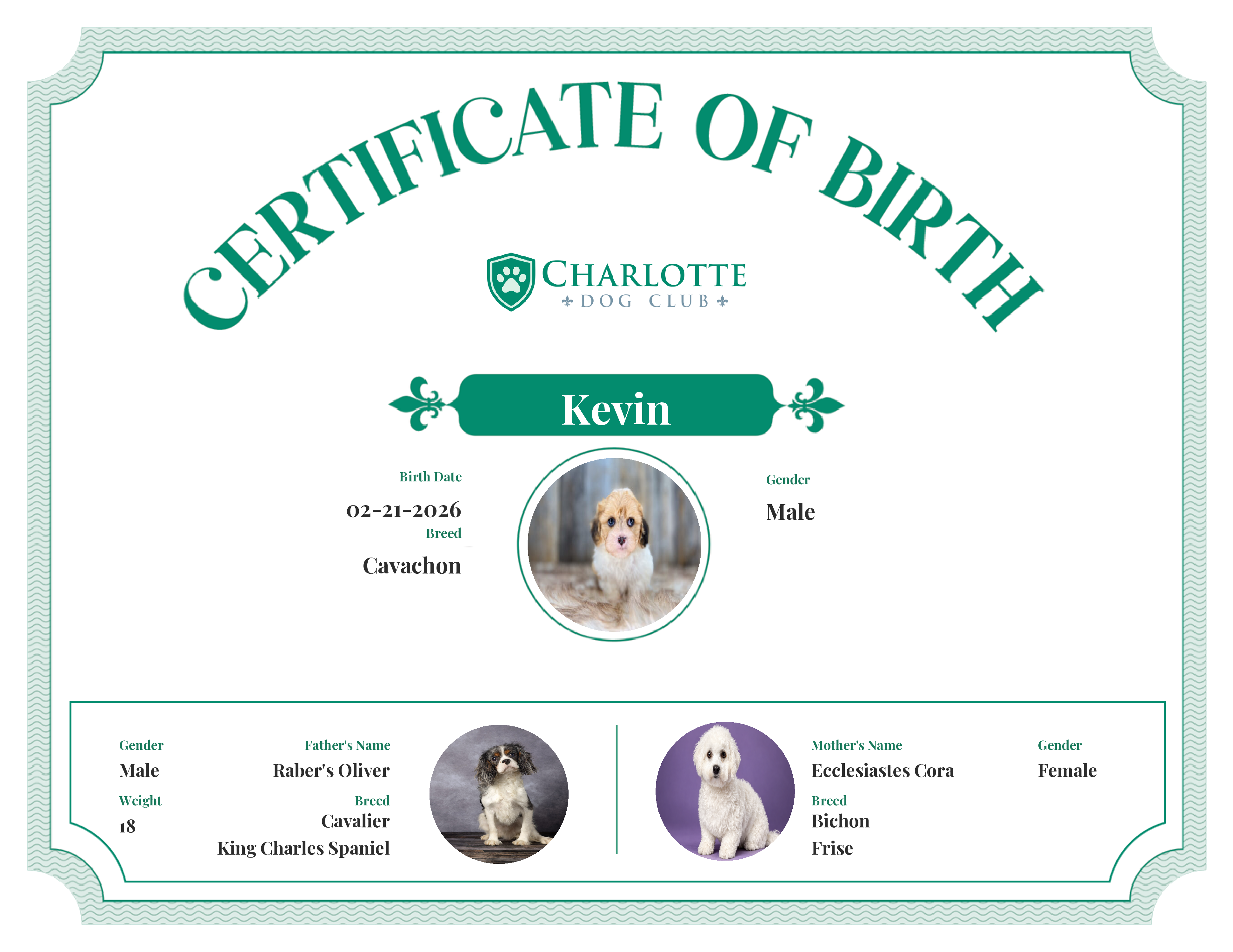 Kevin's Birth Certificate