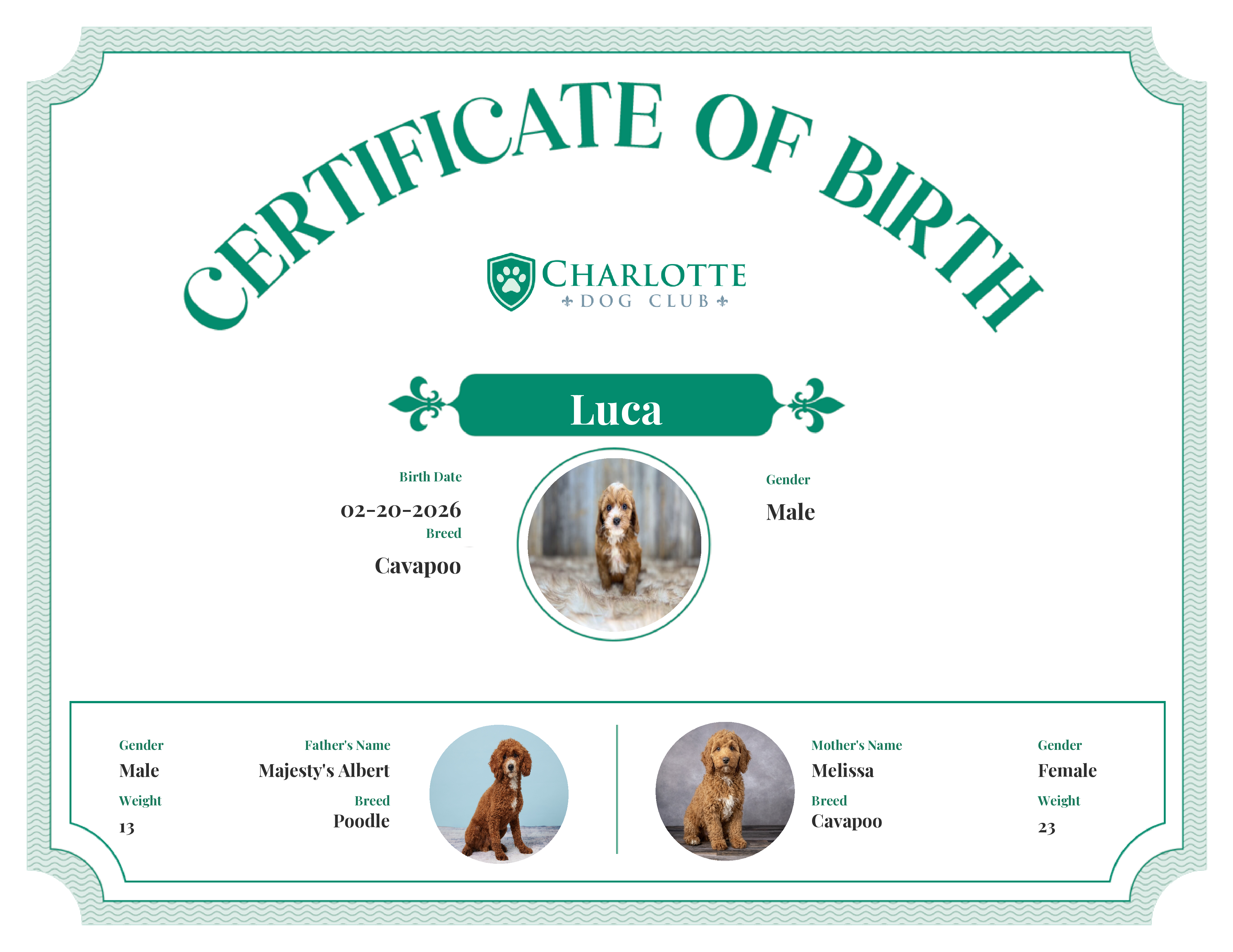 Luca's Birth Certificate