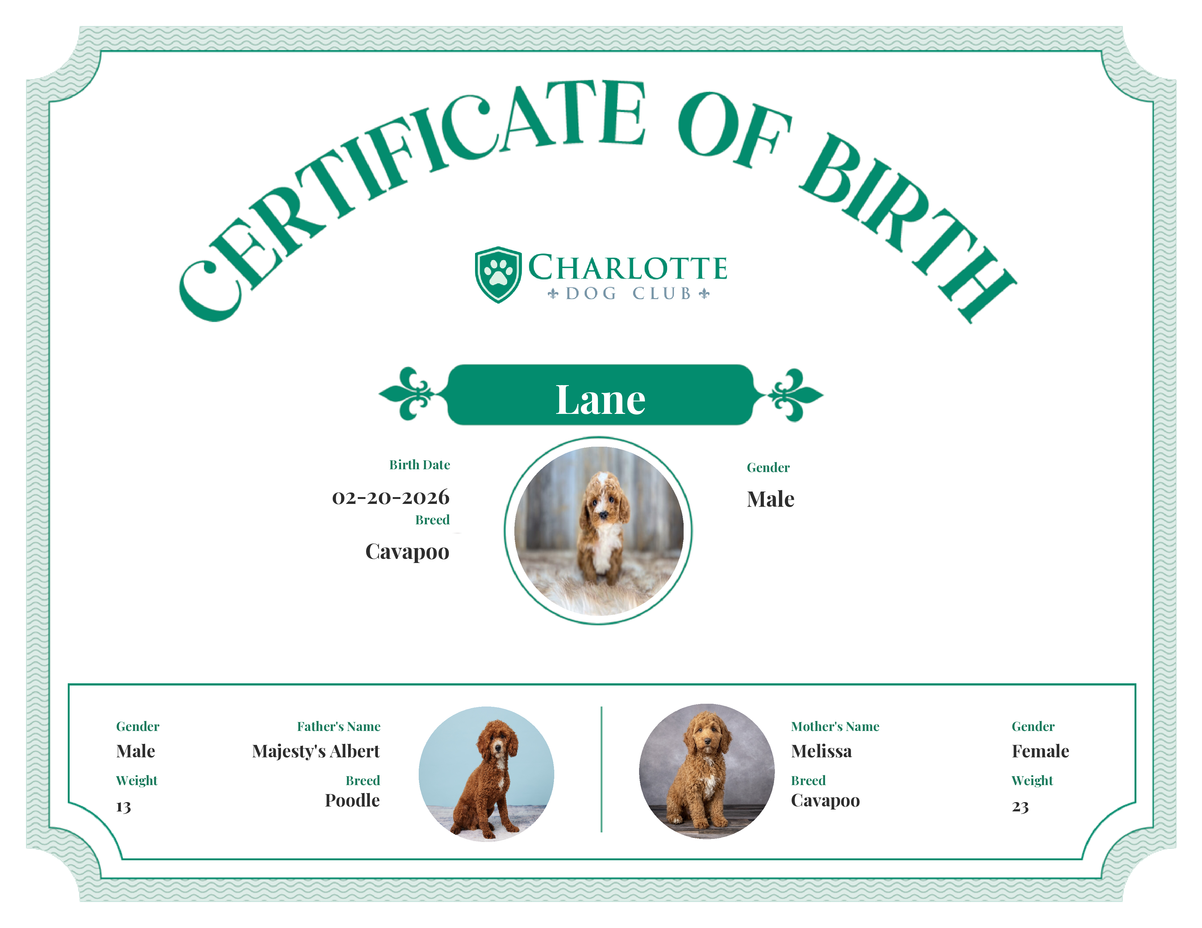 Lane's Birth Certificate