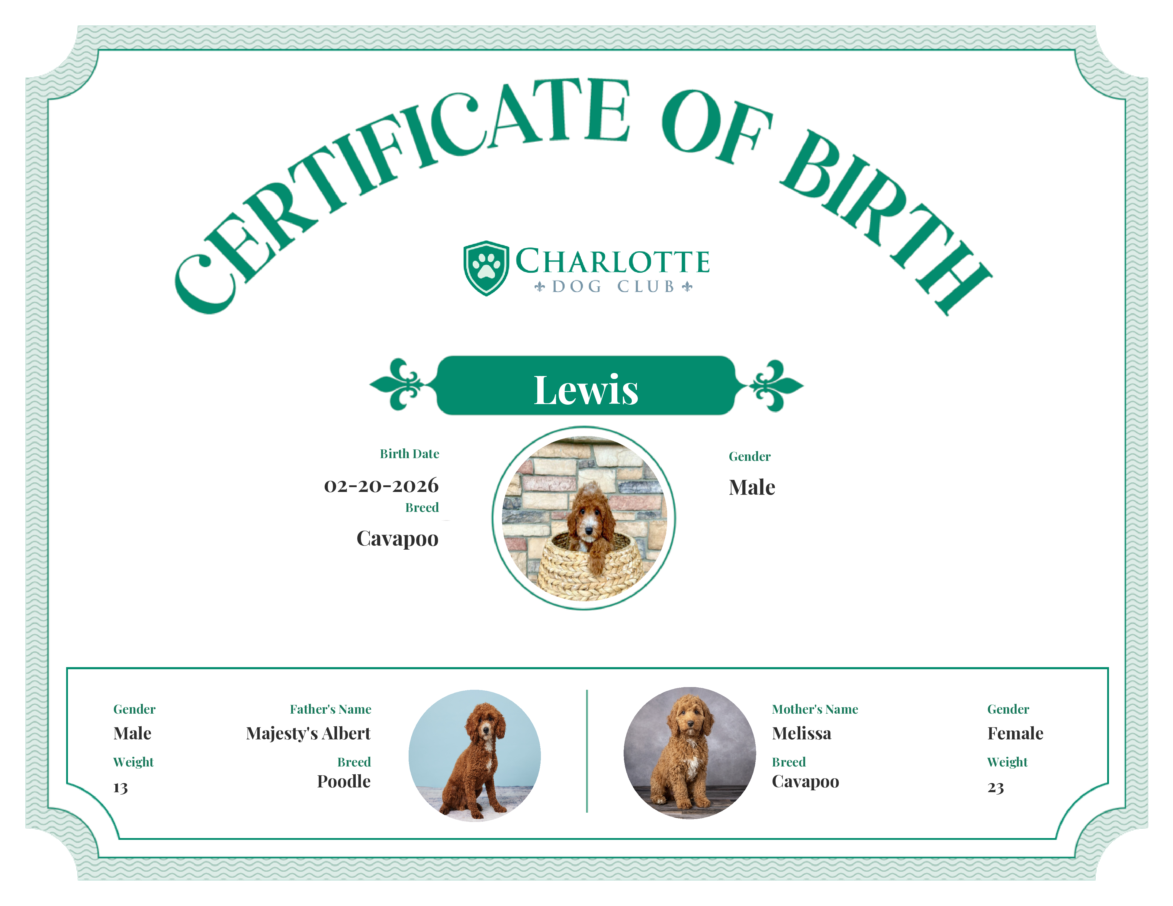 Lewis's Birth Certificate