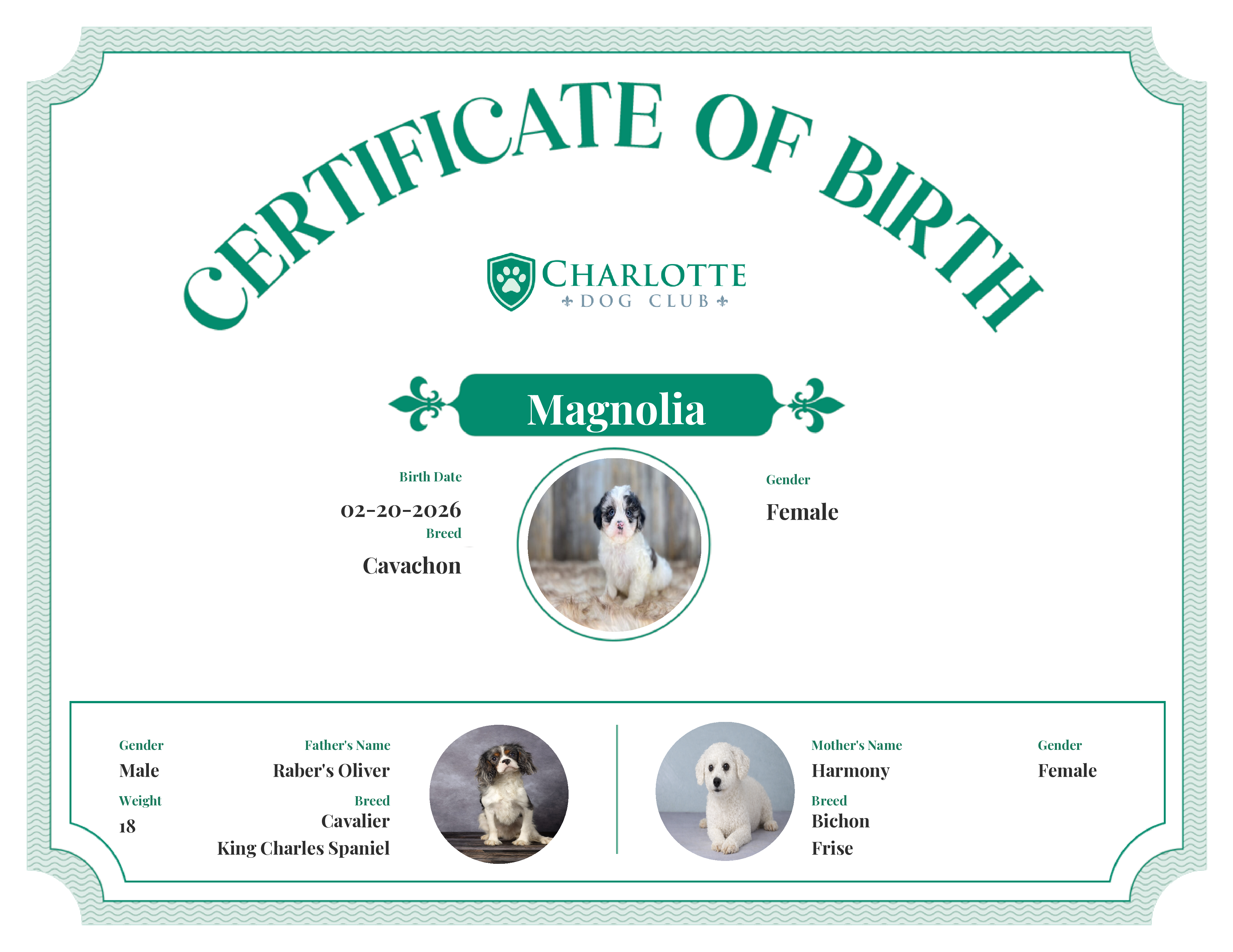 Magnolia's Birth Certificate