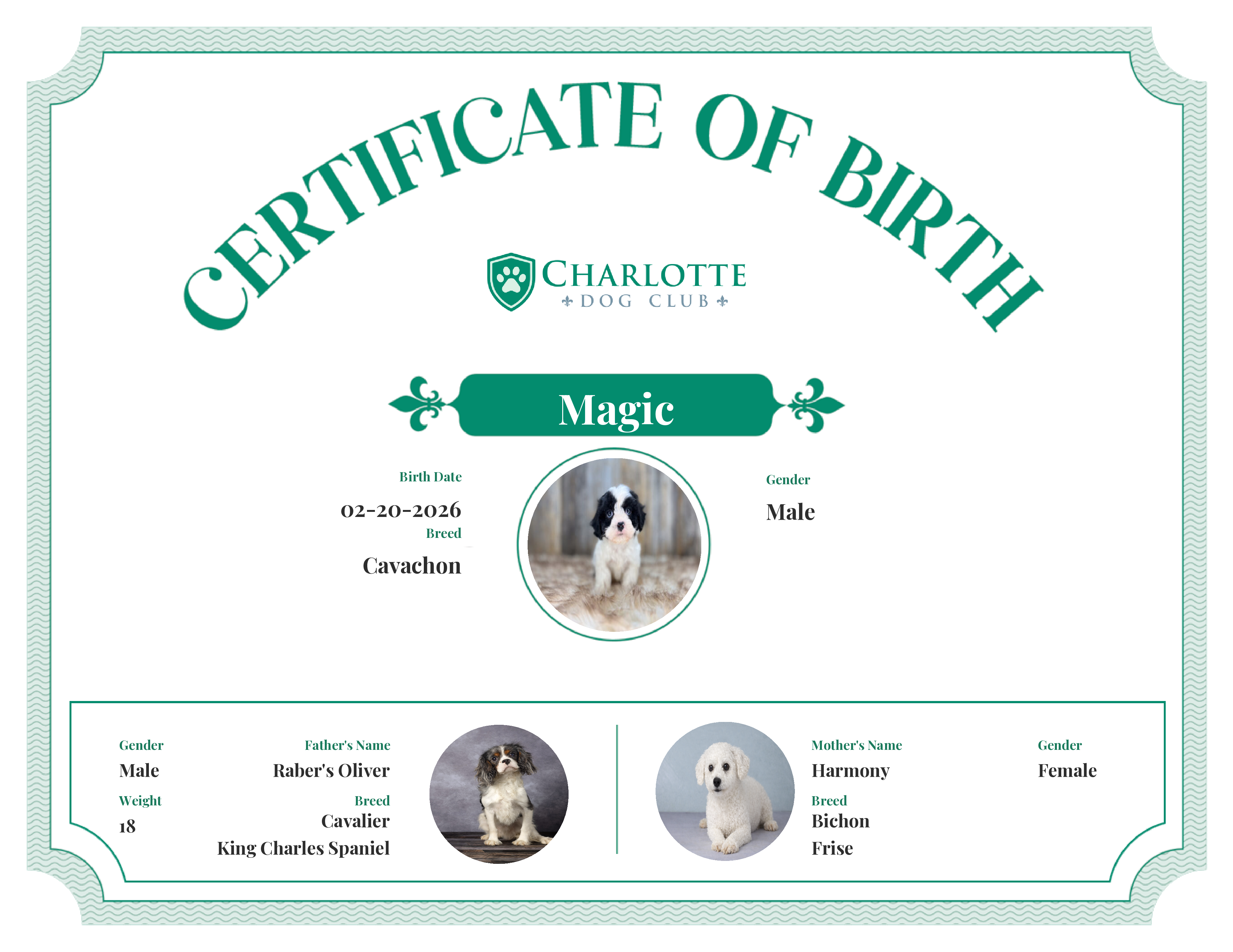 Magic's Birth Certificate