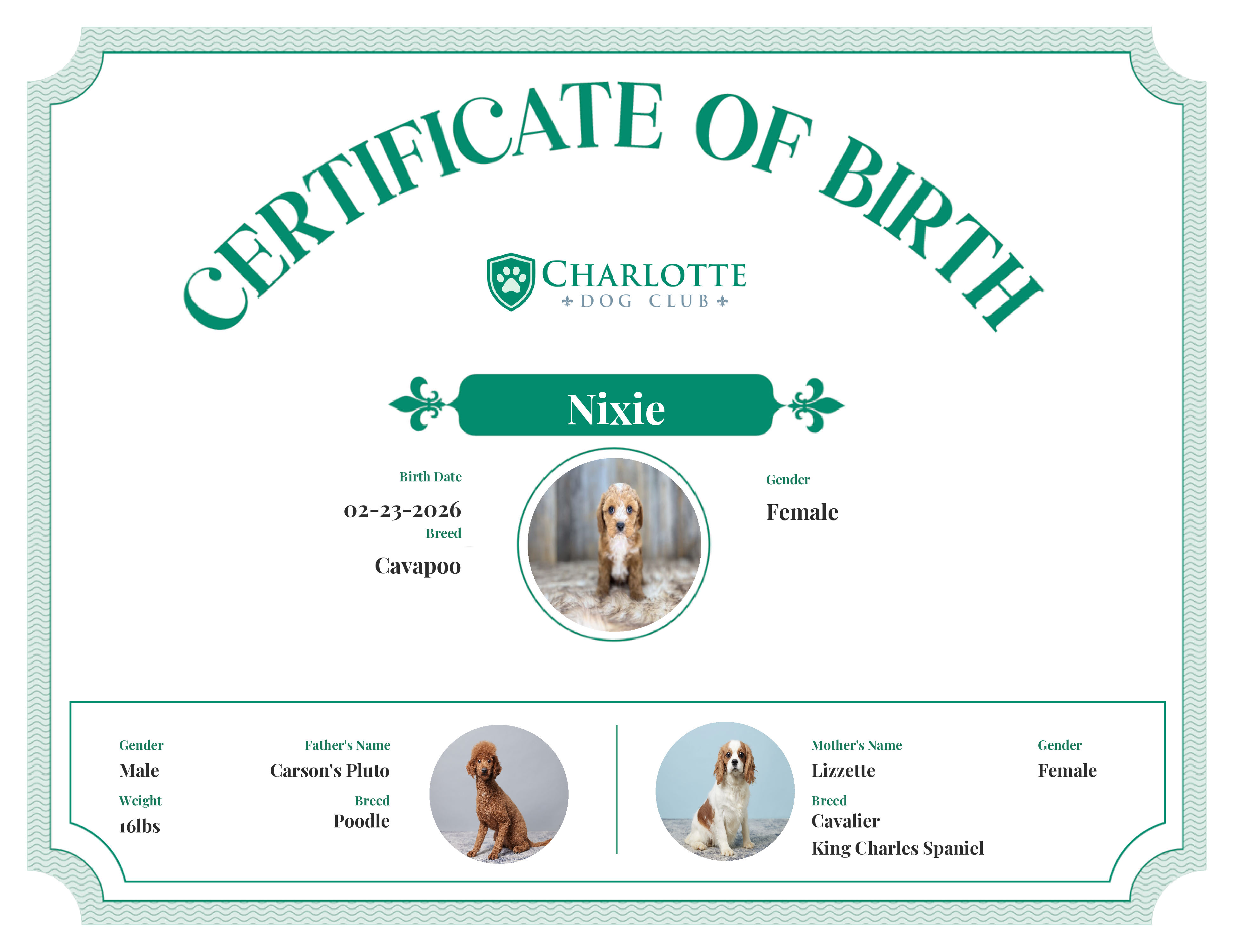 Nixie's Birth Certificate