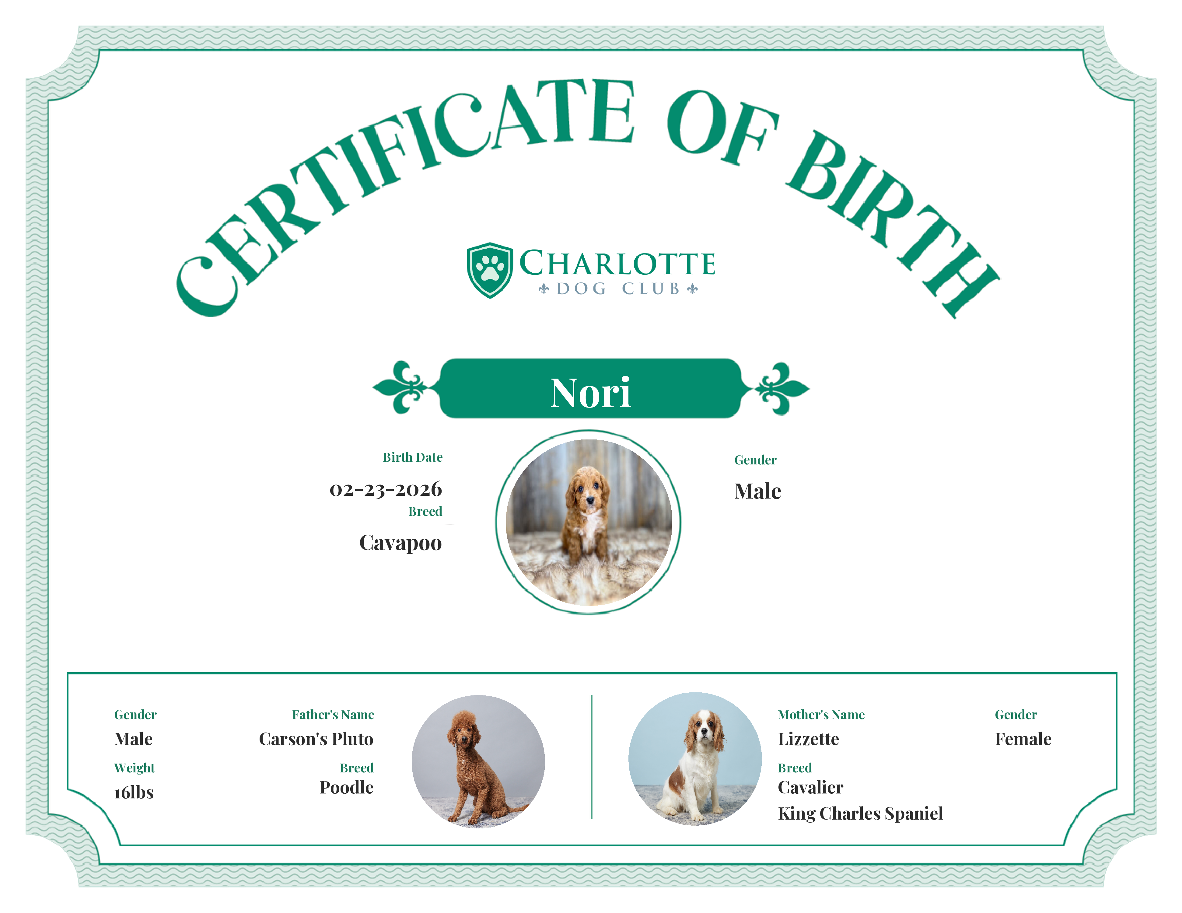 Nori's Birth Certificate