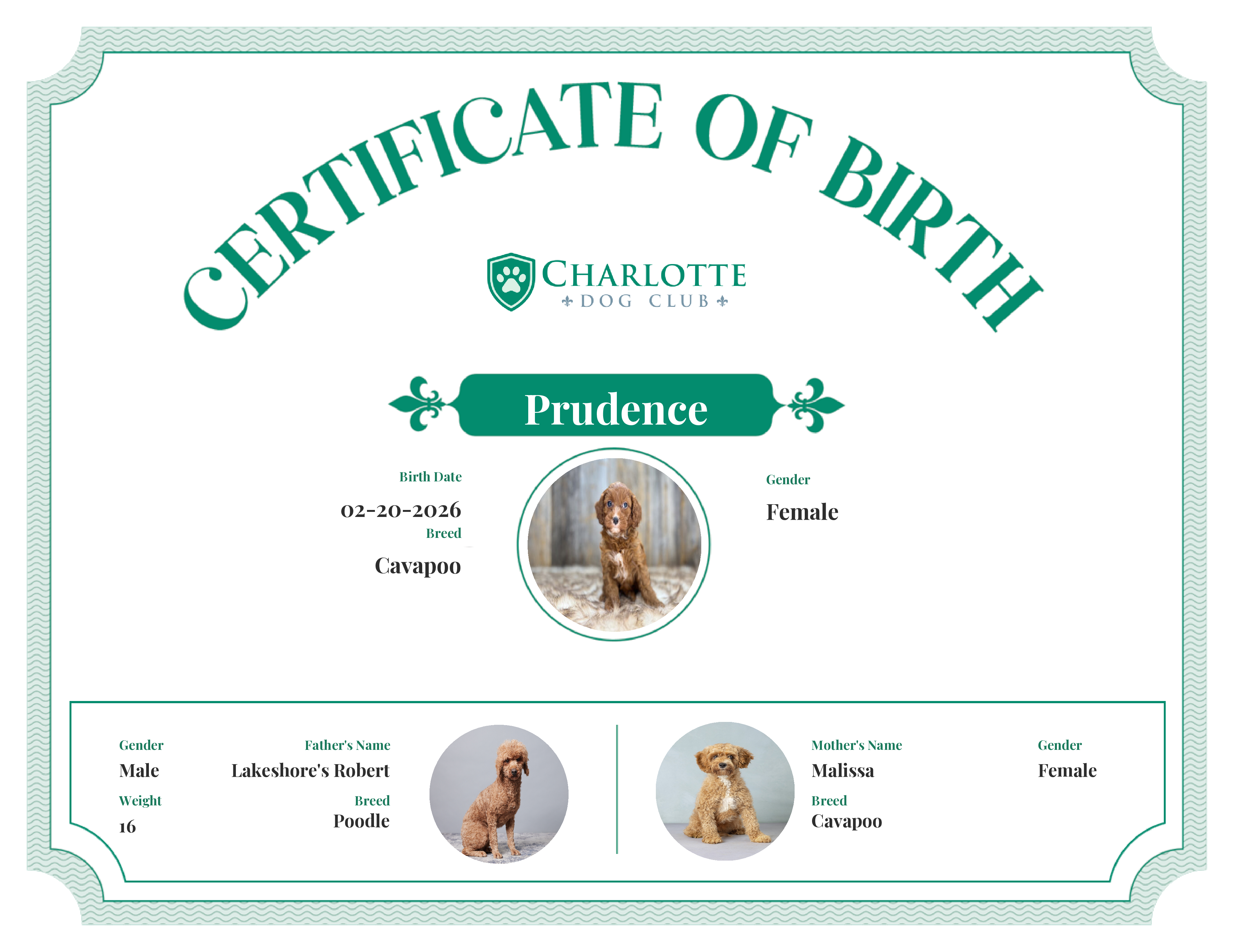 Prudence's Birth Certificate