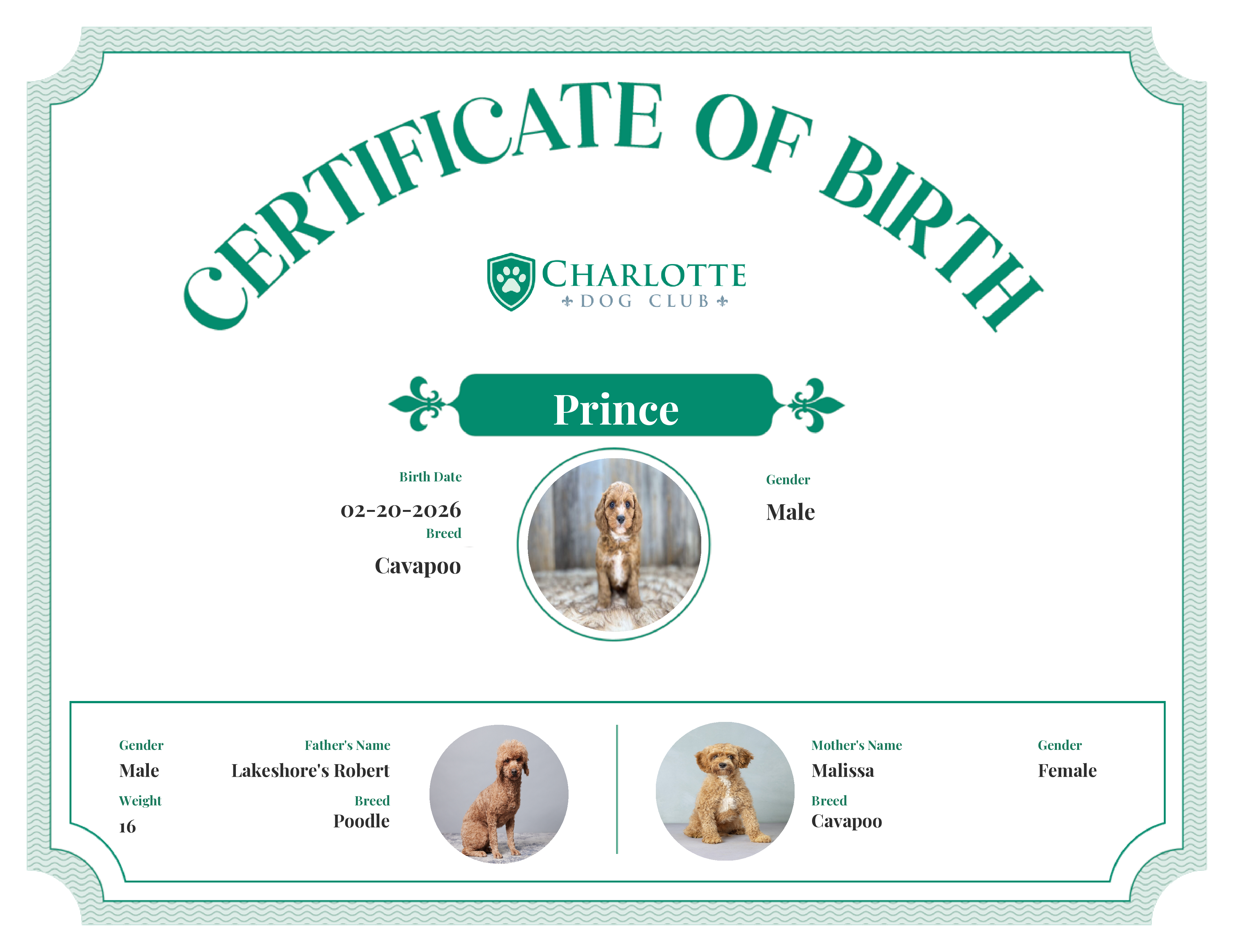 Prince's Birth Certificate