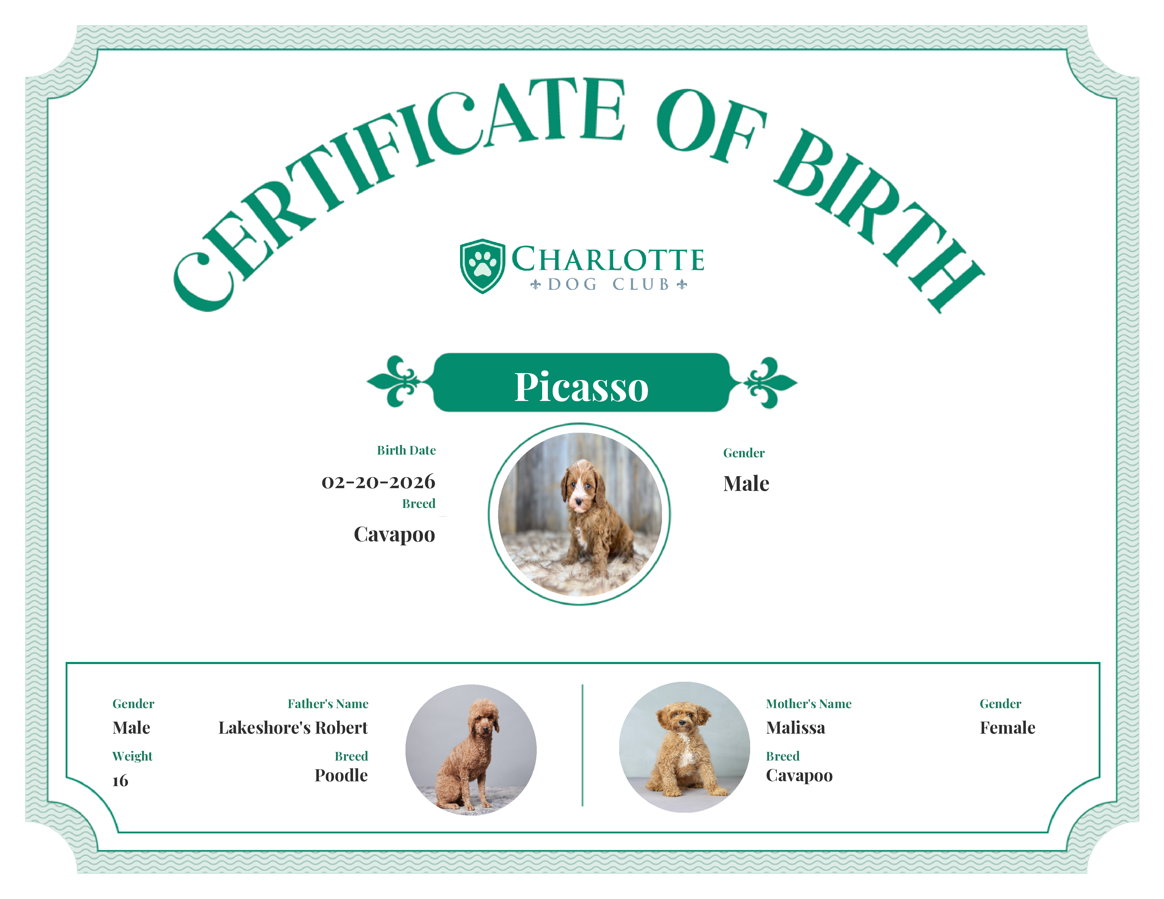 Picasso's Birth Certificate