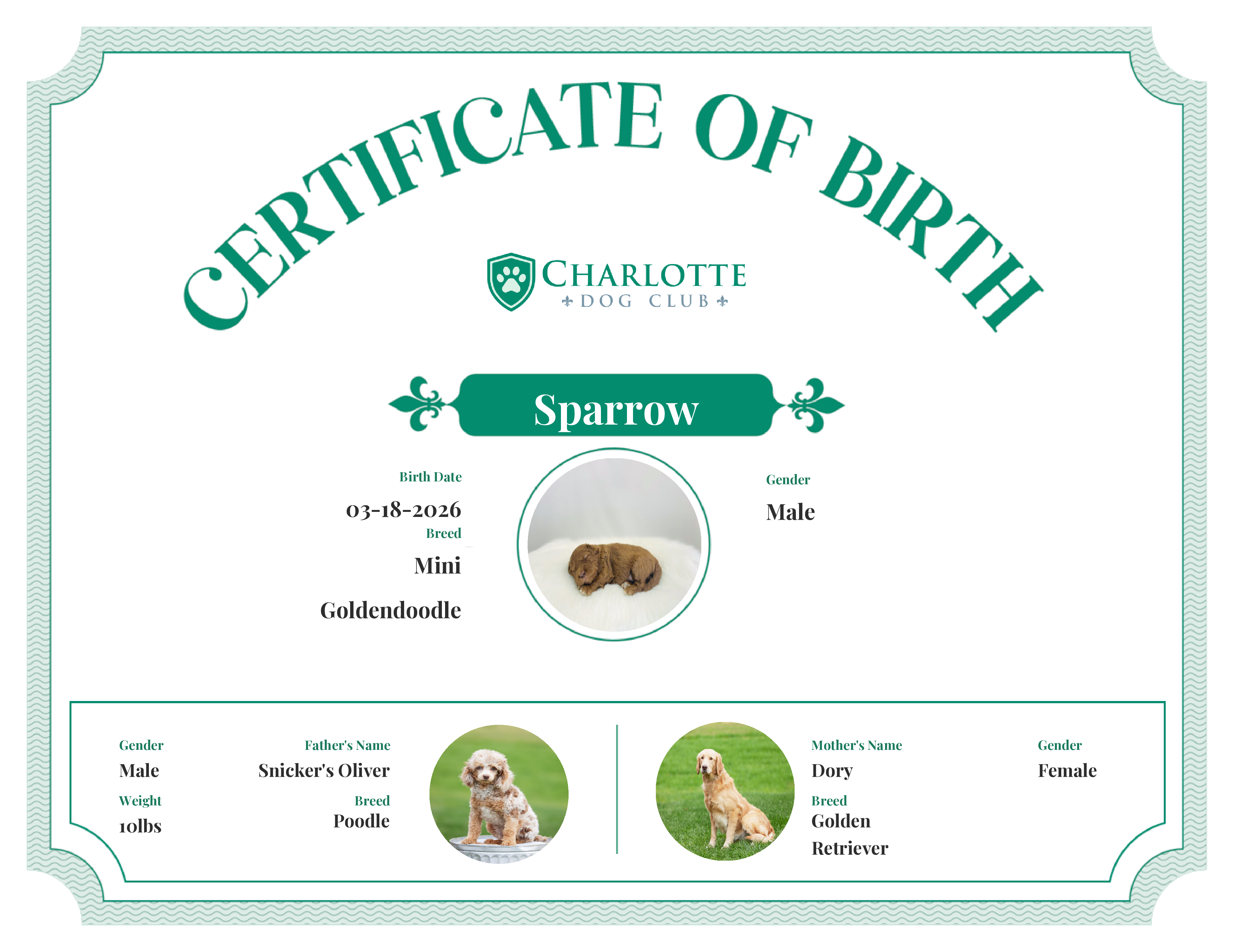 Sparrow's Birth Certificate
