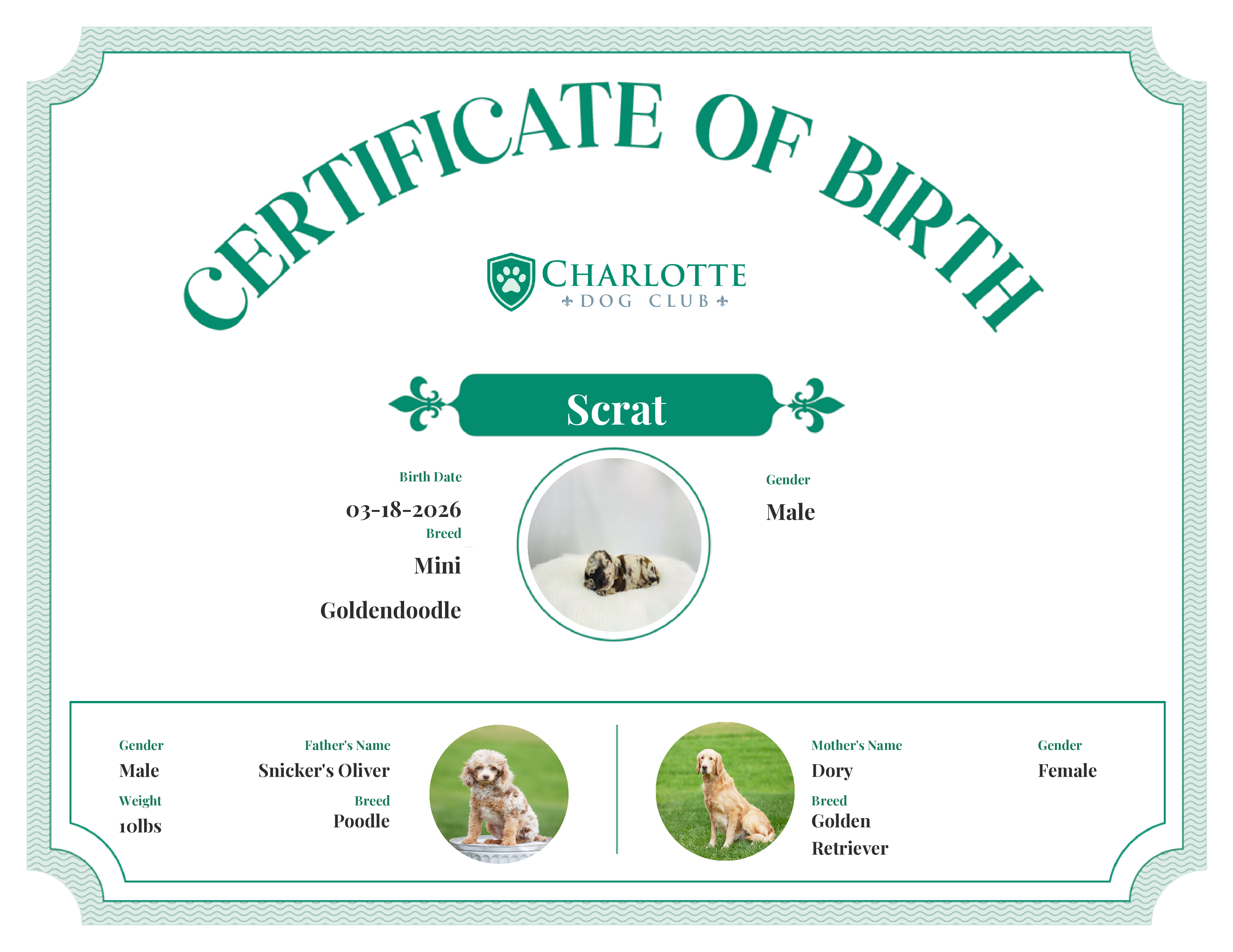 Scrat's Birth Certificate