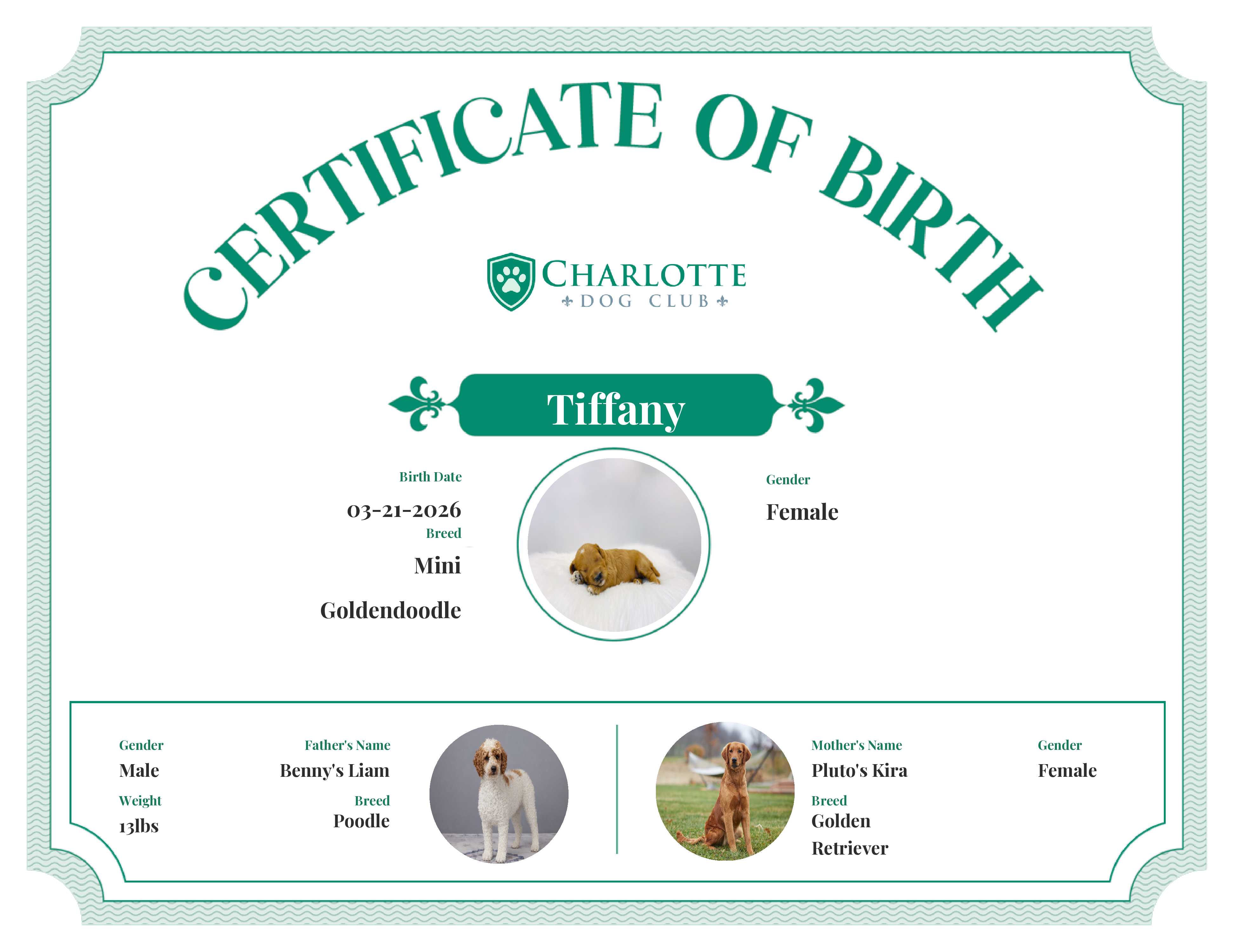 Tiffany's Birth Certificate