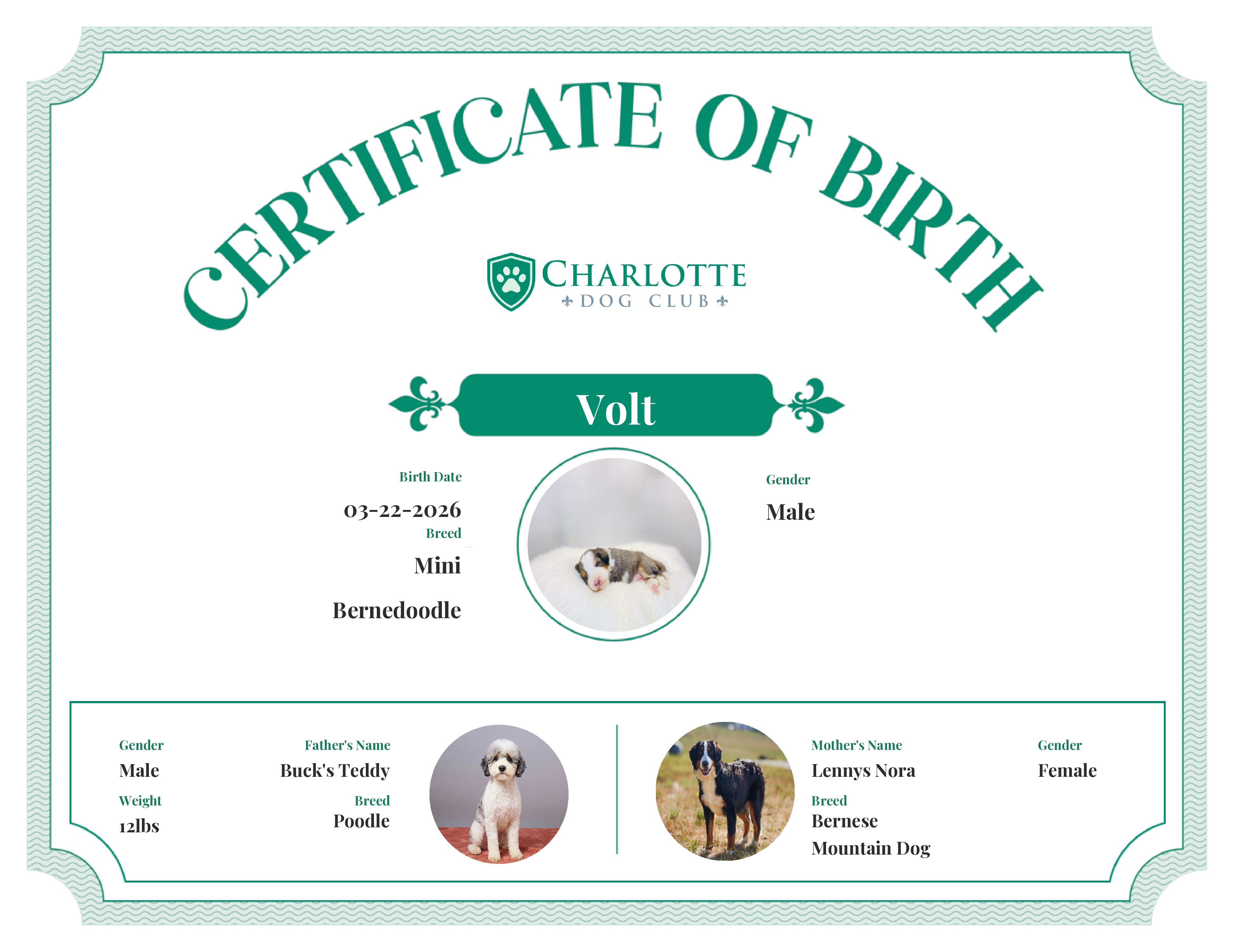 Volt's Birth Certificate