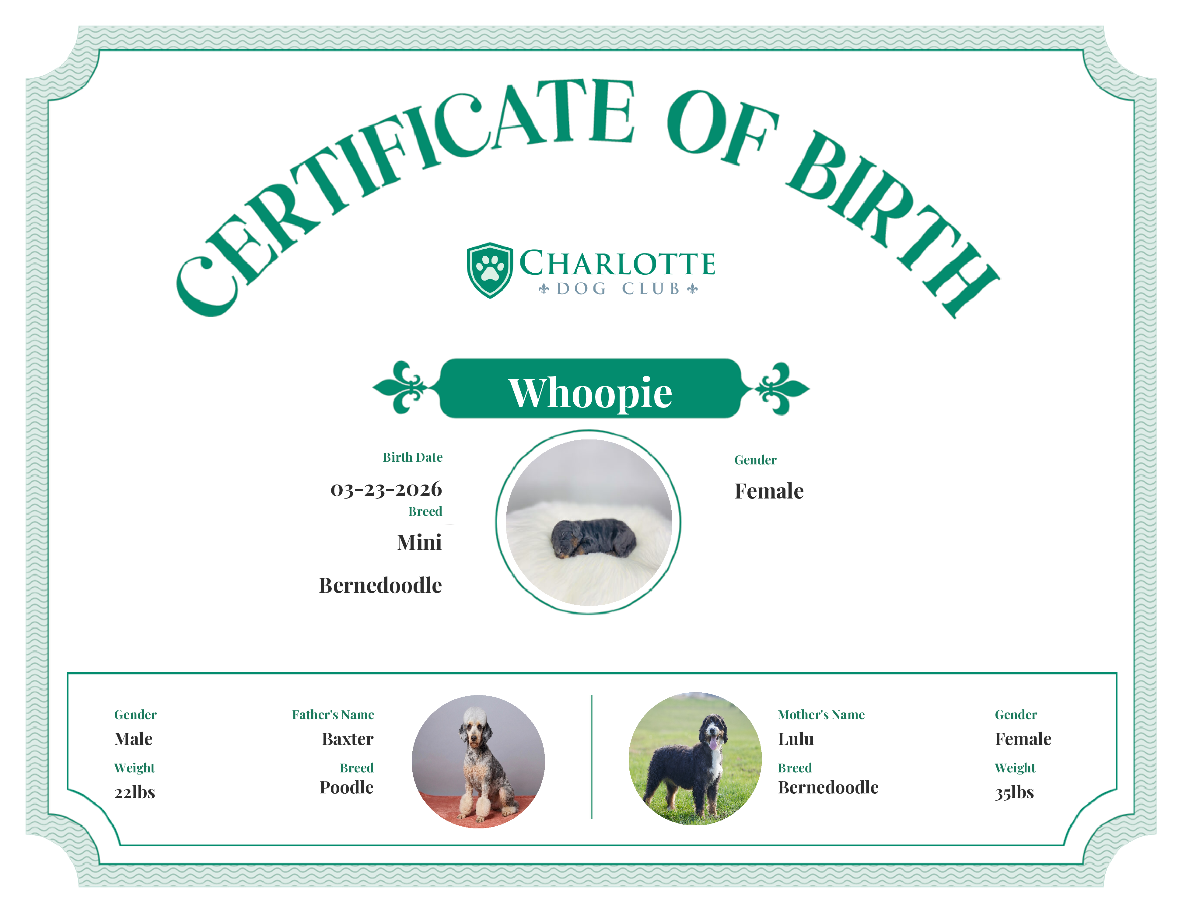 Whoopie's Birth Certificate
