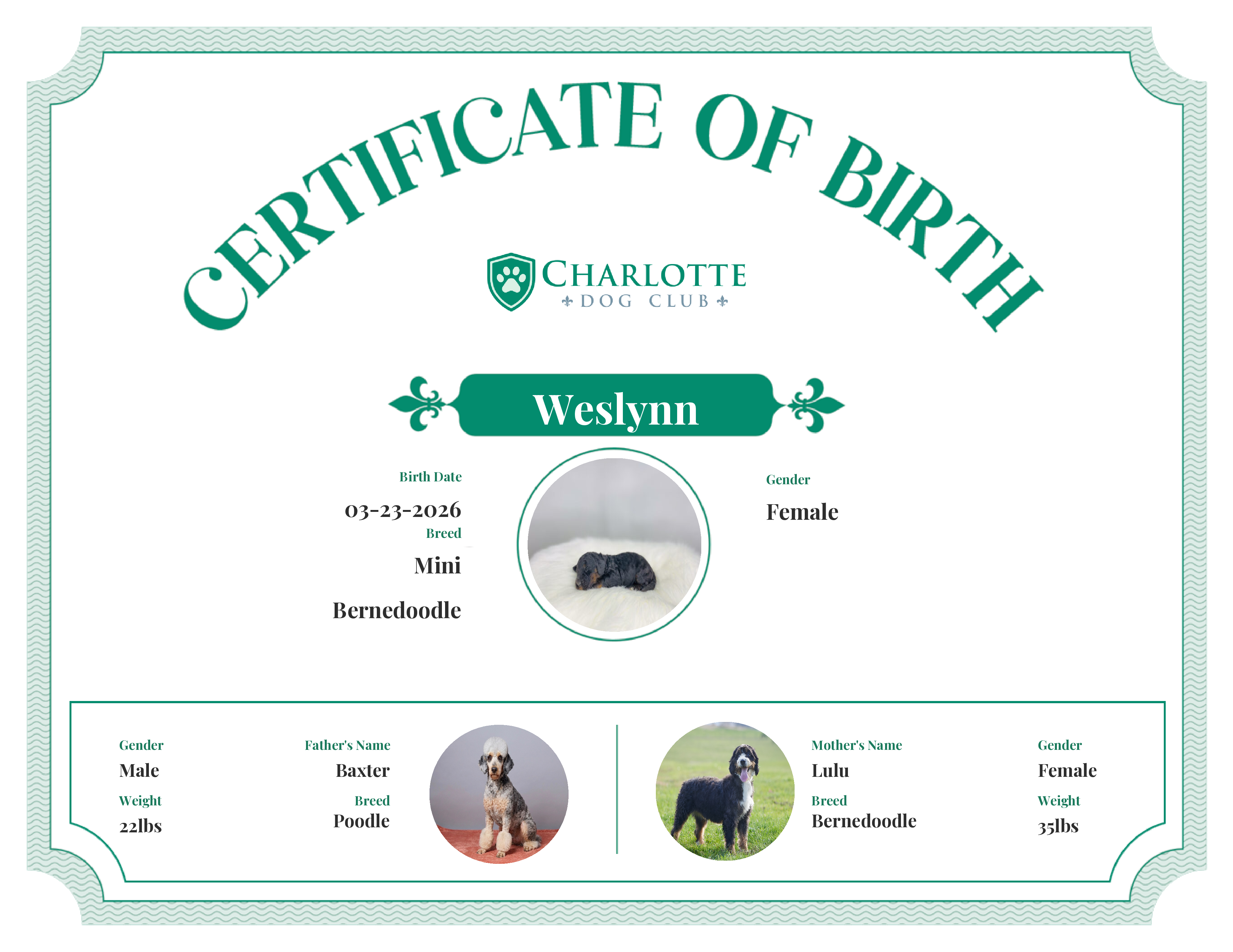 Weslynn's Birth Certificate