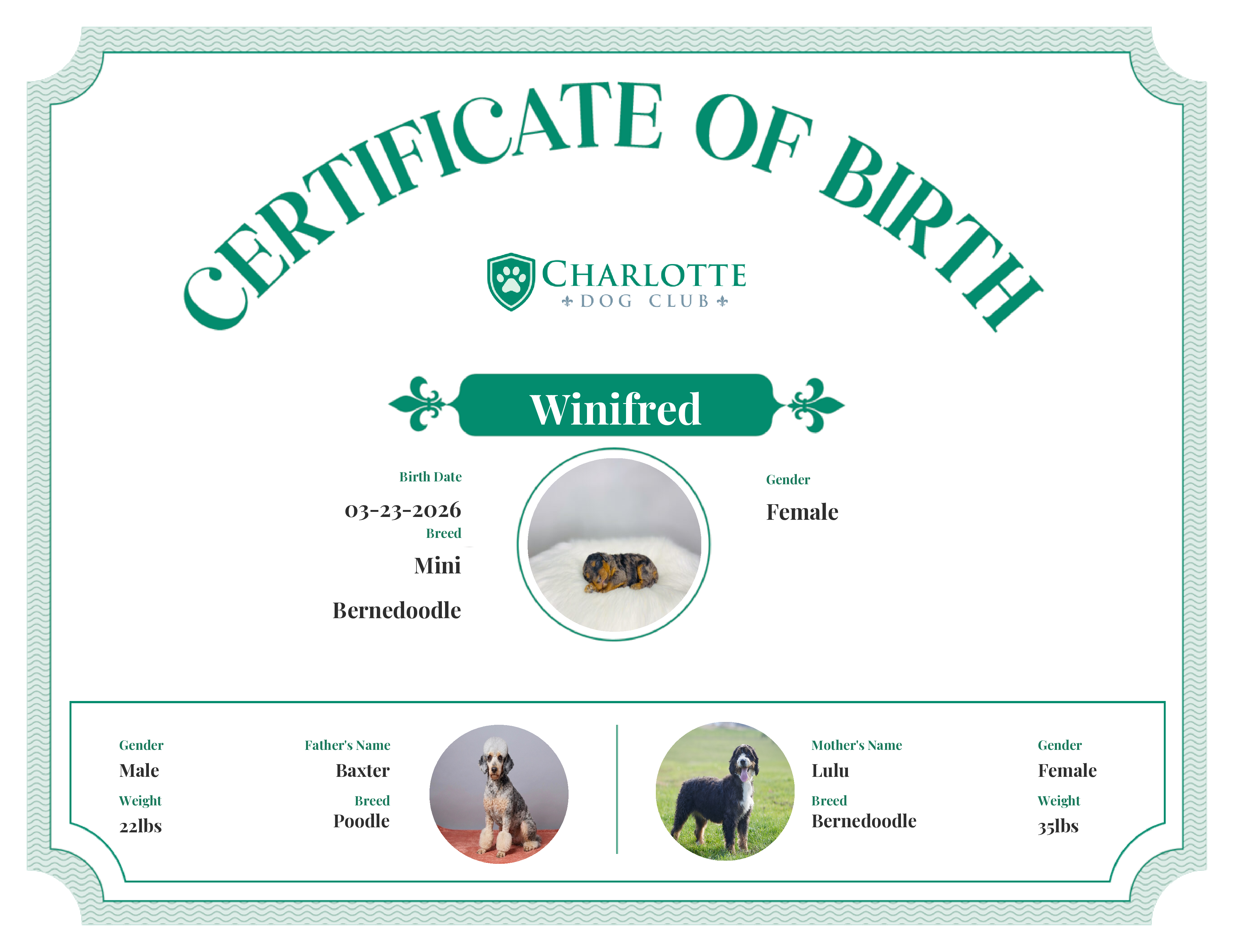 Winifred's Birth Certificate