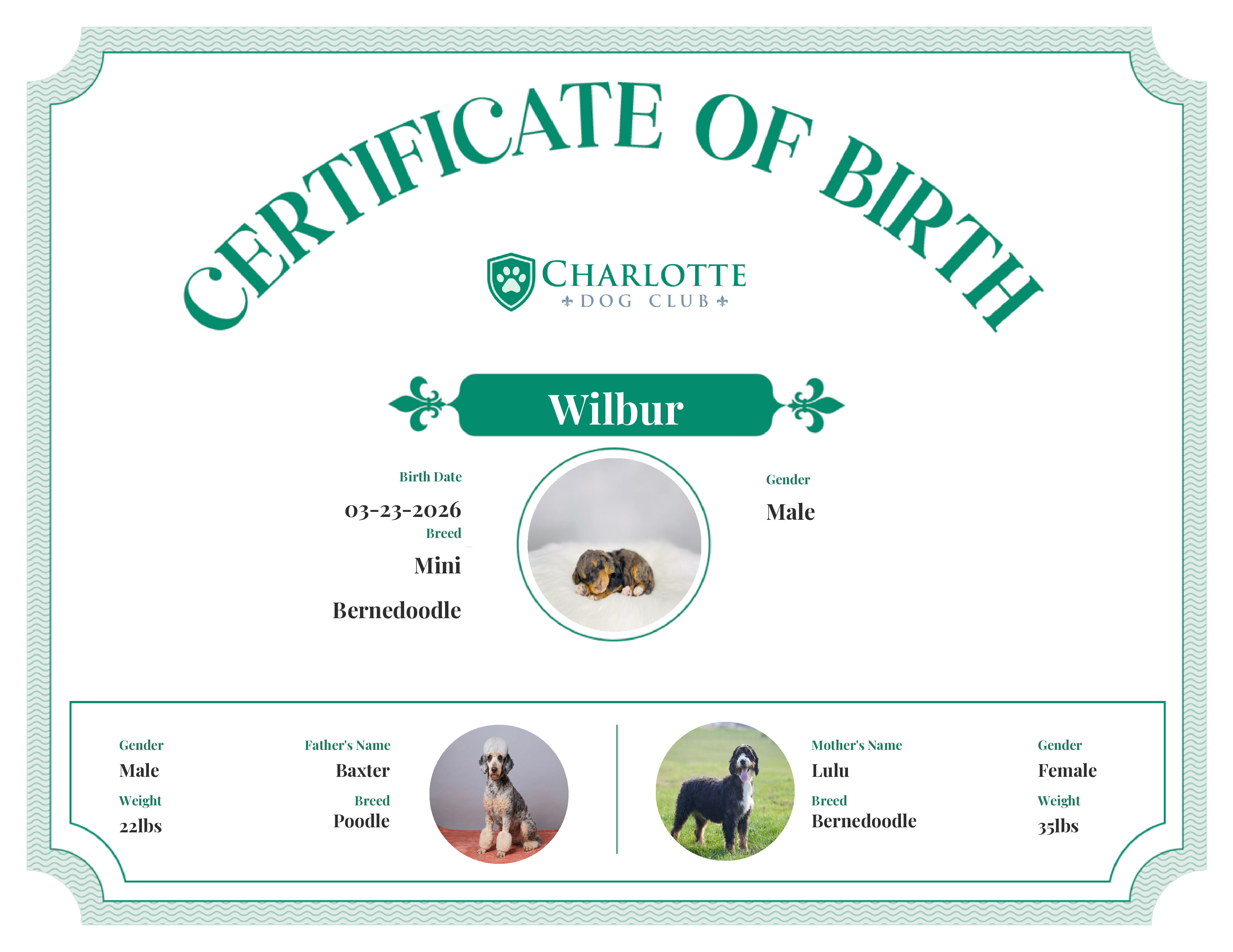 Wilbur's Birth Certificate
