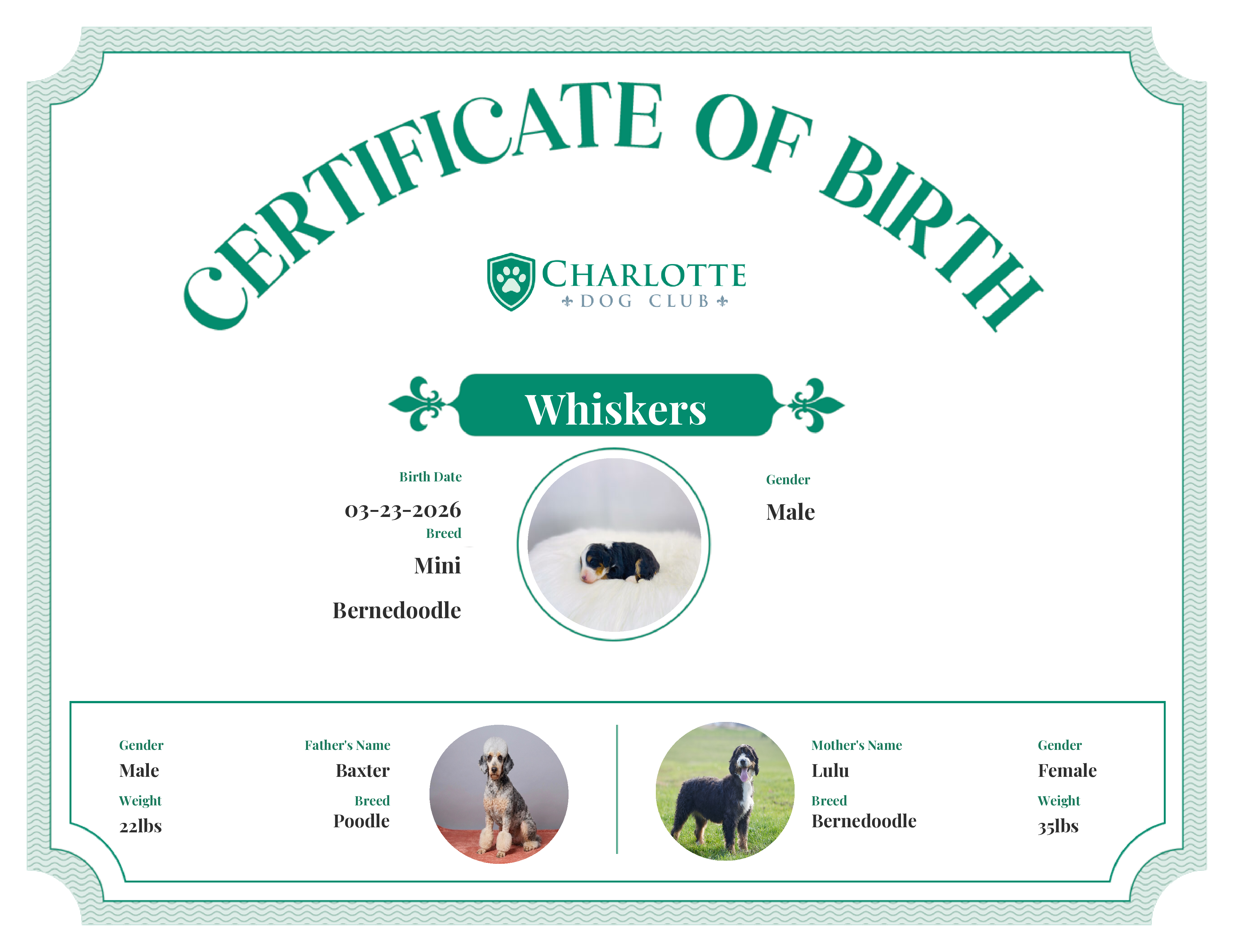 Whiskers's Birth Certificate