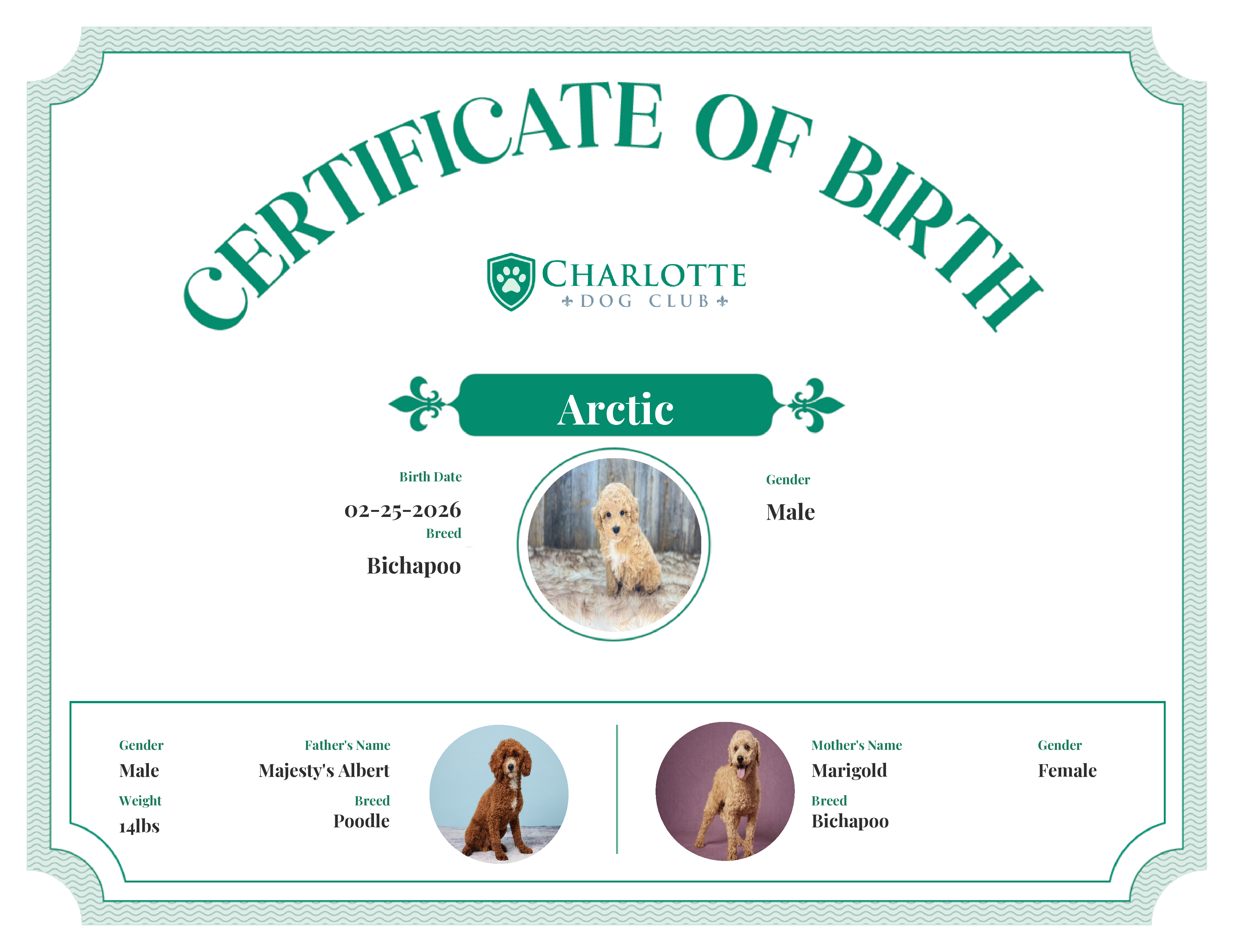 Arctic's Birth Certificate