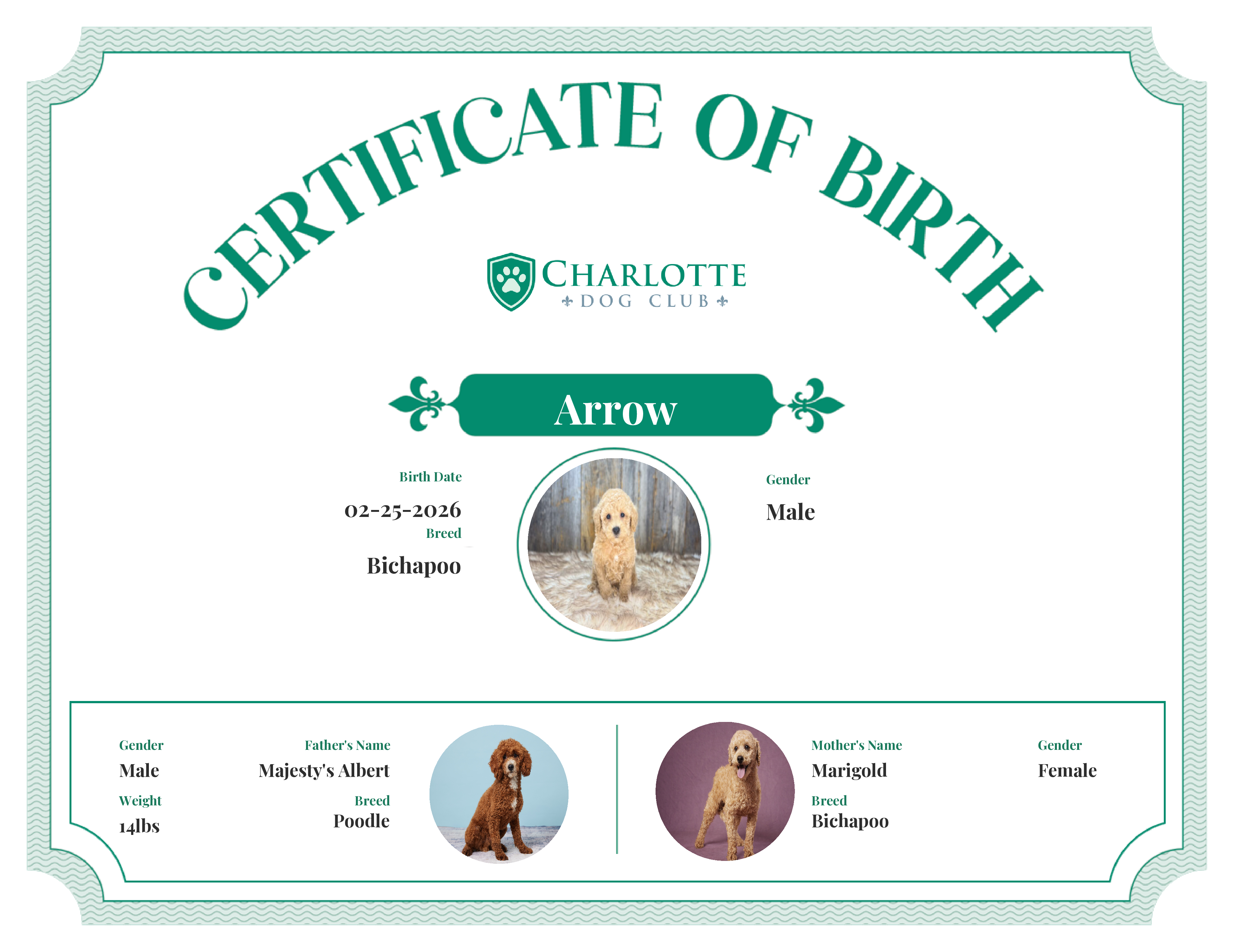Arrow's Birth Certificate