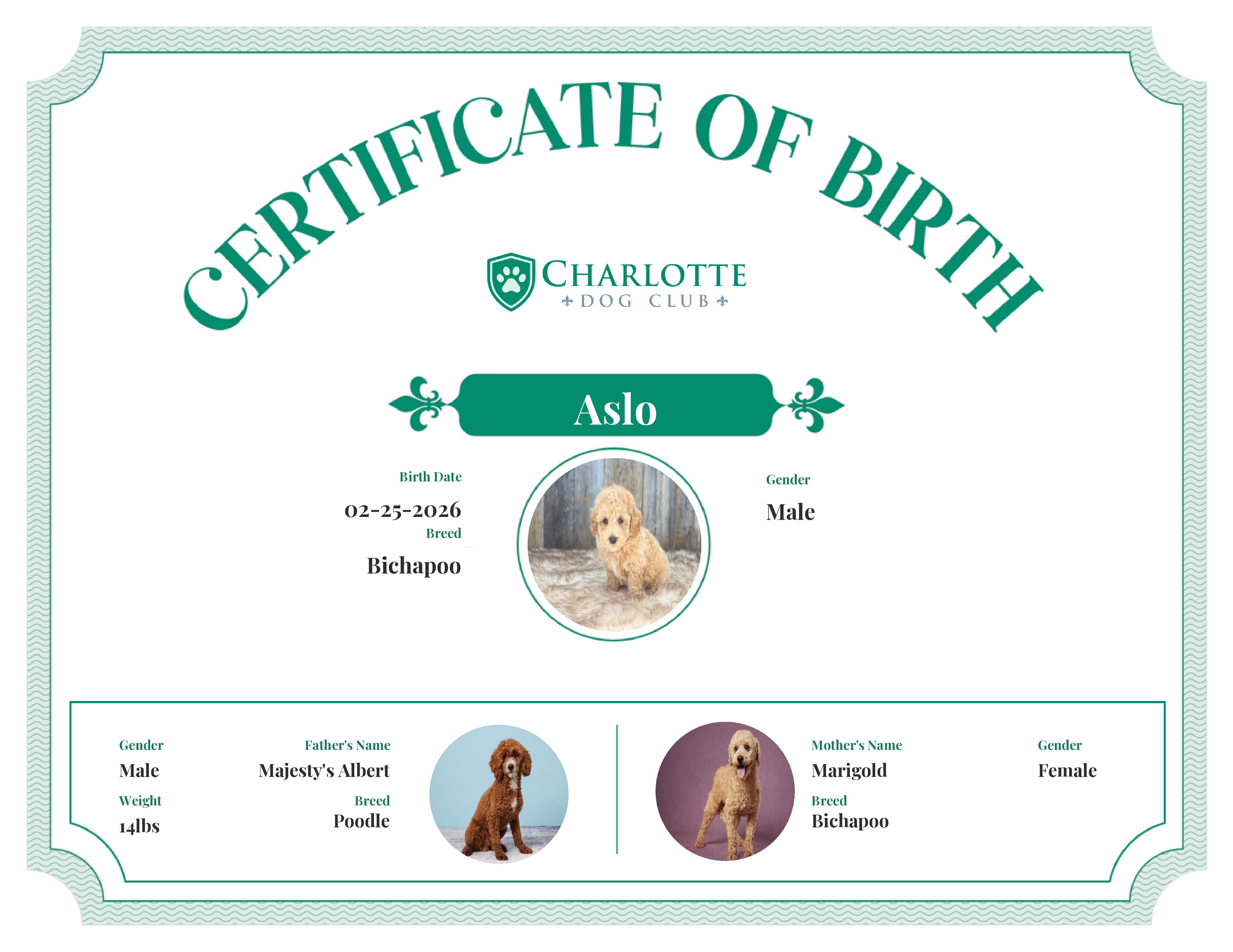 Aslo's Birth Certificate