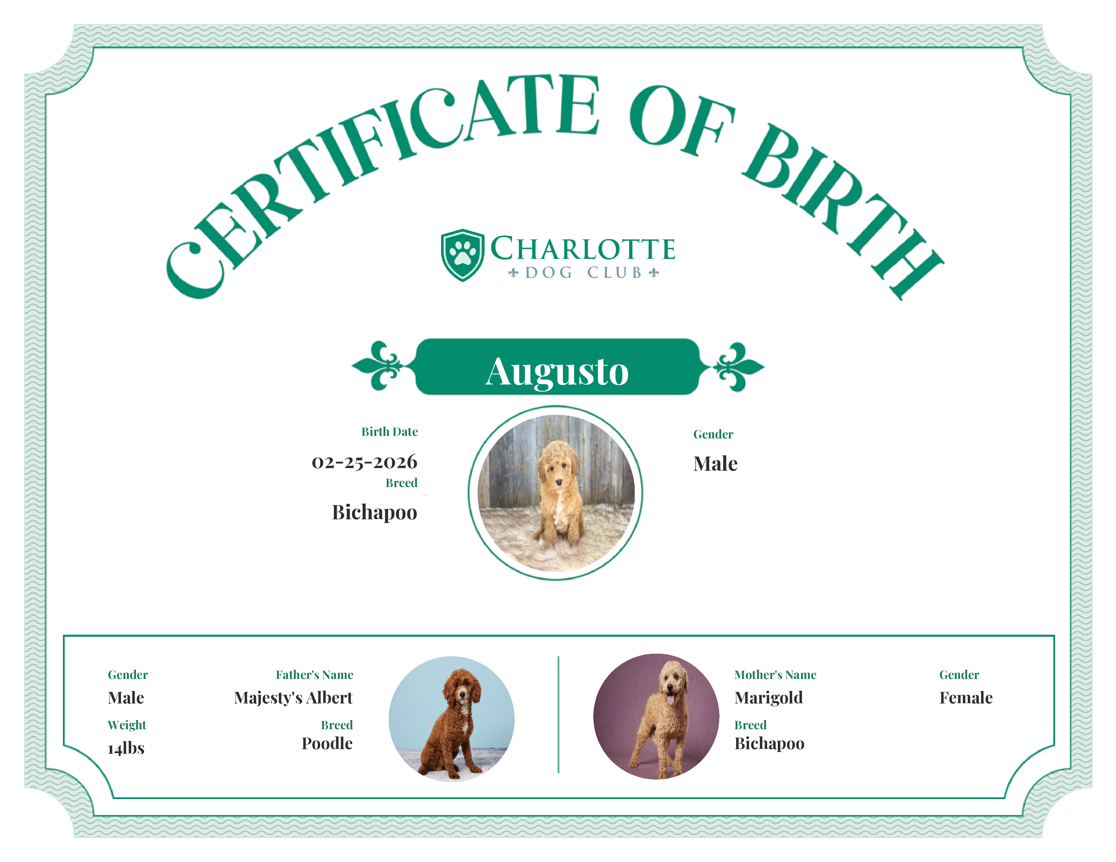 Augusto's Birth Certificate