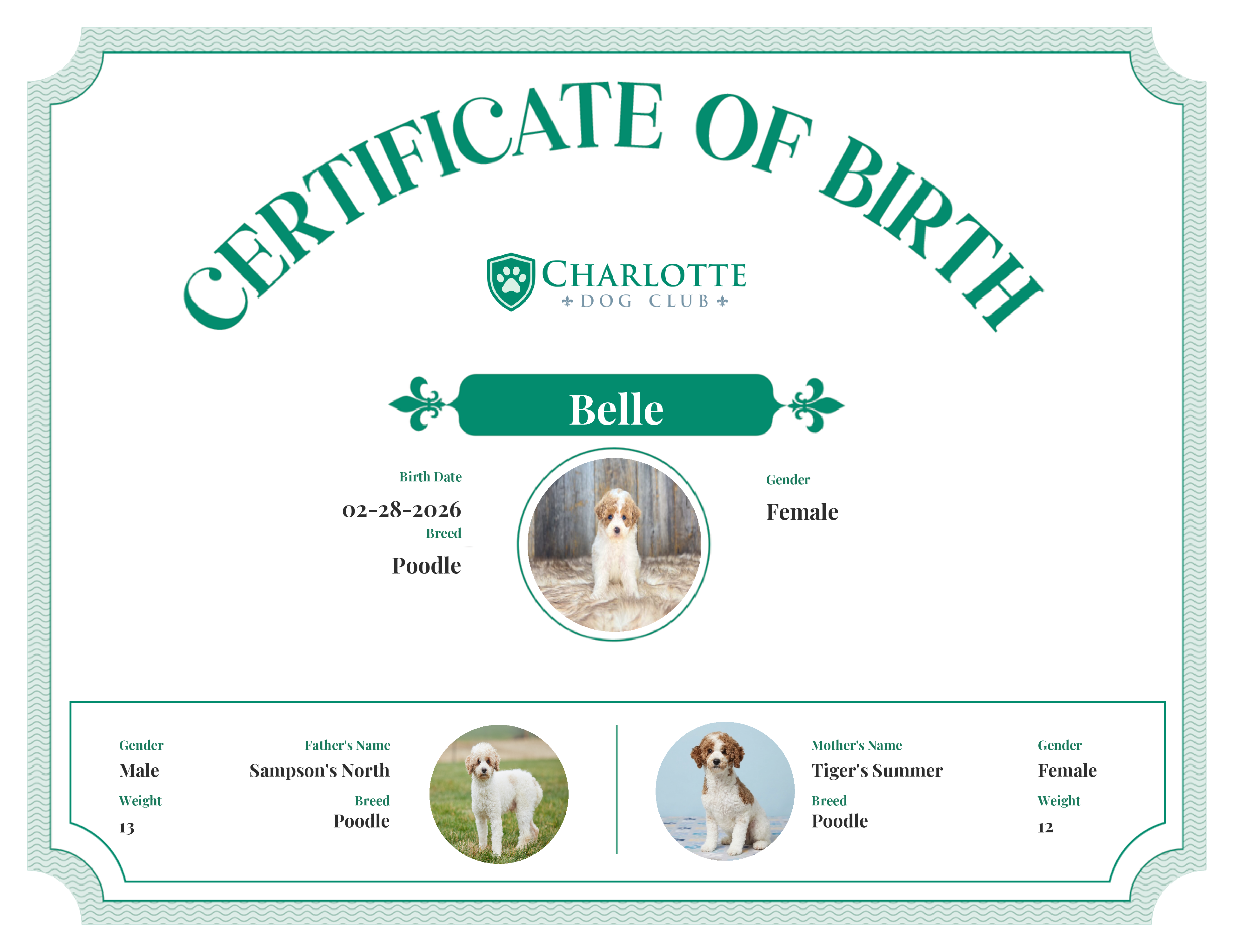 Belle's Birth Certificate