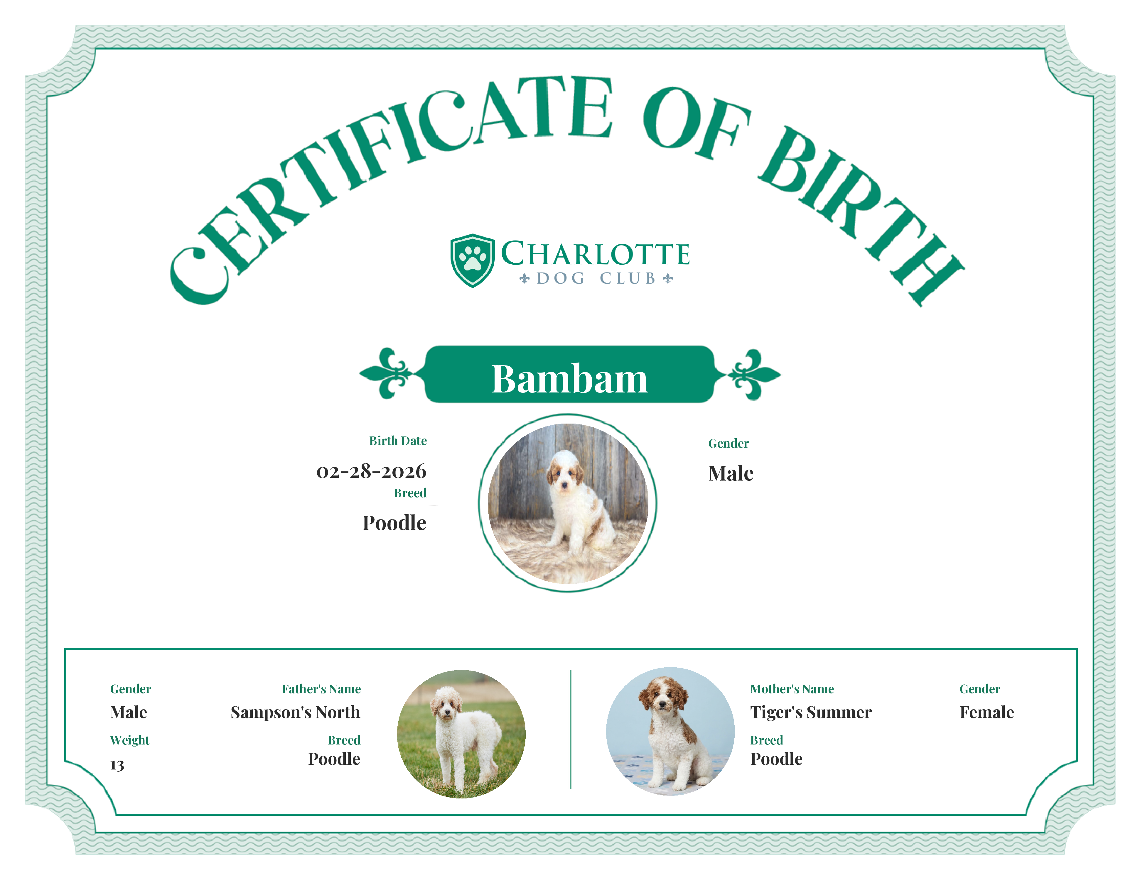 Bambam's Birth Certificate