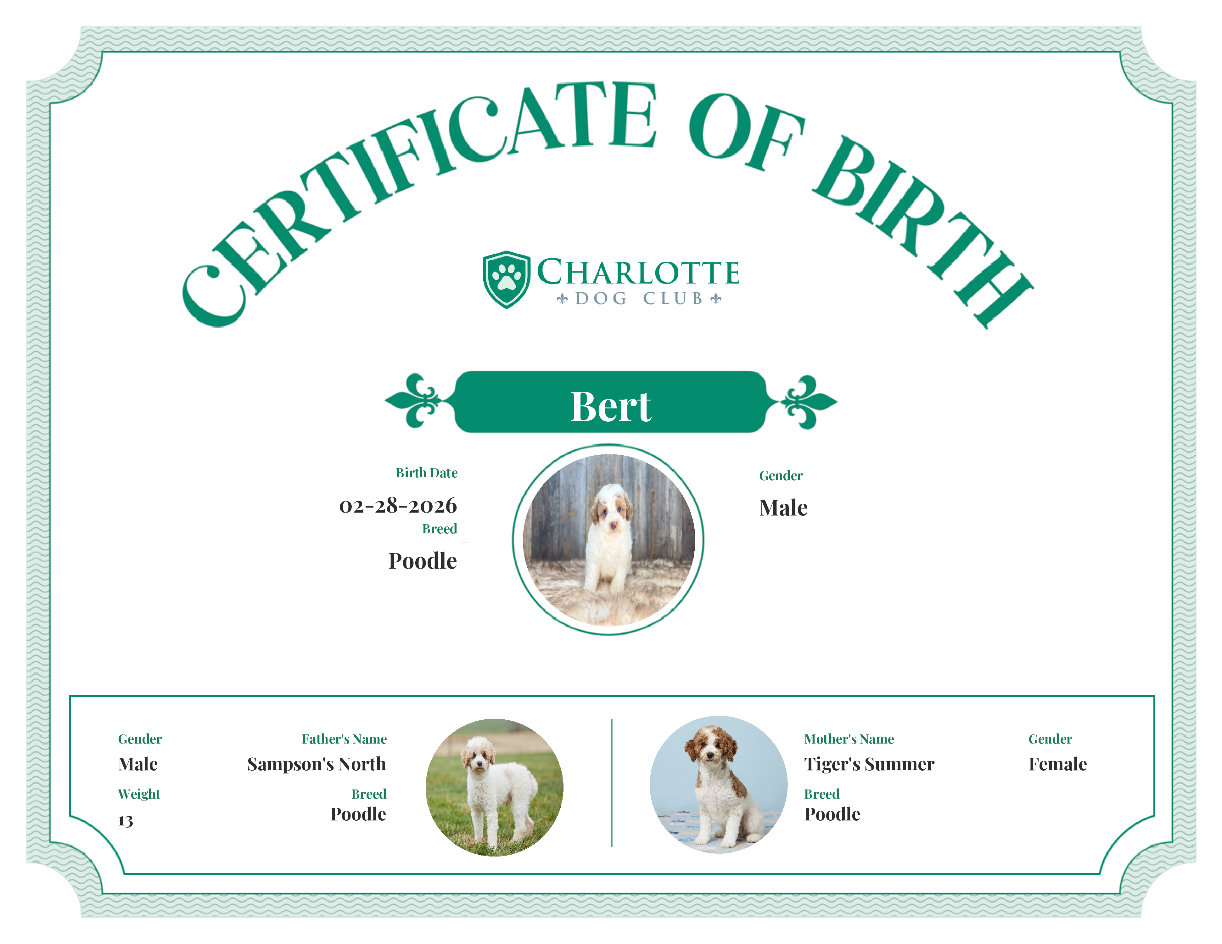 Bert's Birth Certificate
