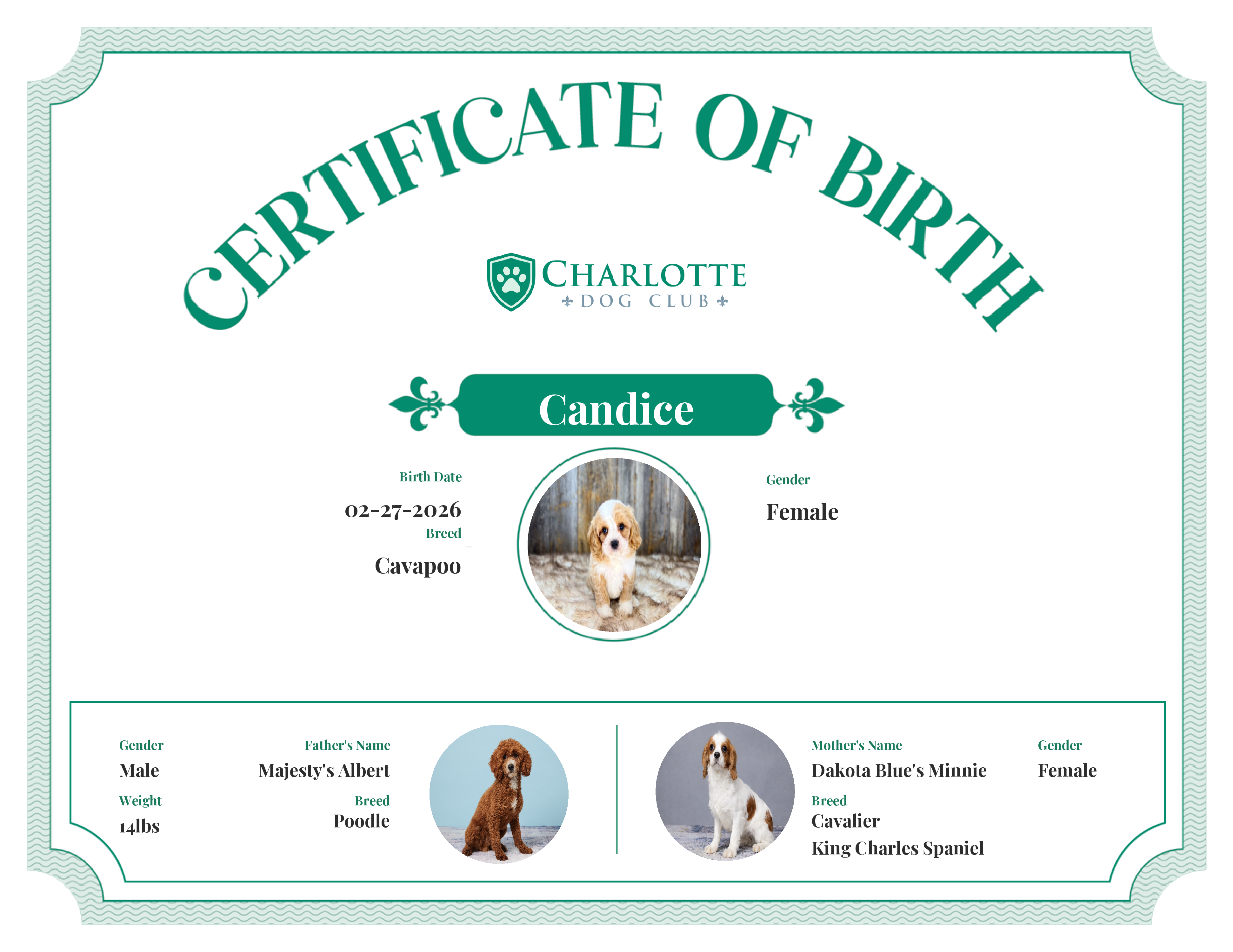 Candice's Birth Certificate