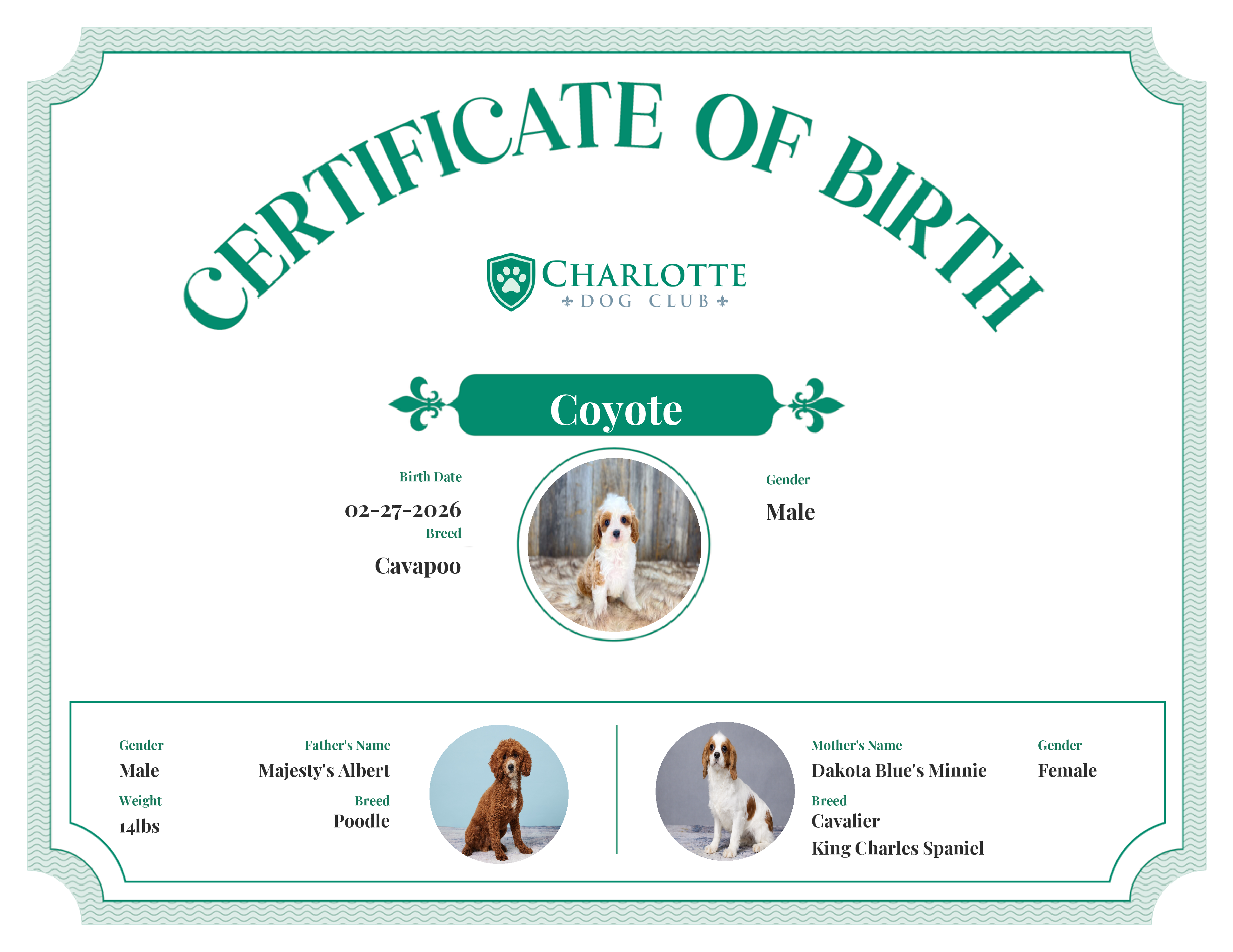 Coyote's Birth Certificate