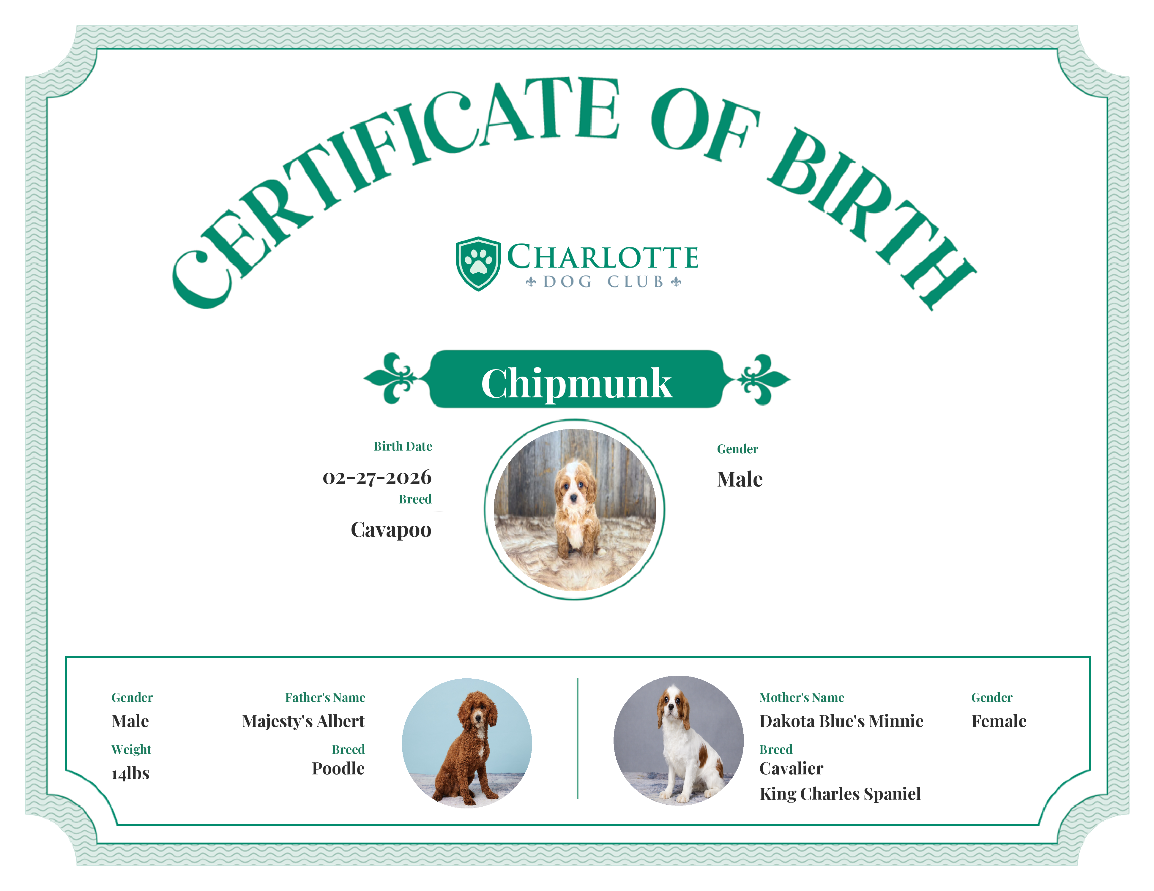 Chipmunk's Birth Certificate