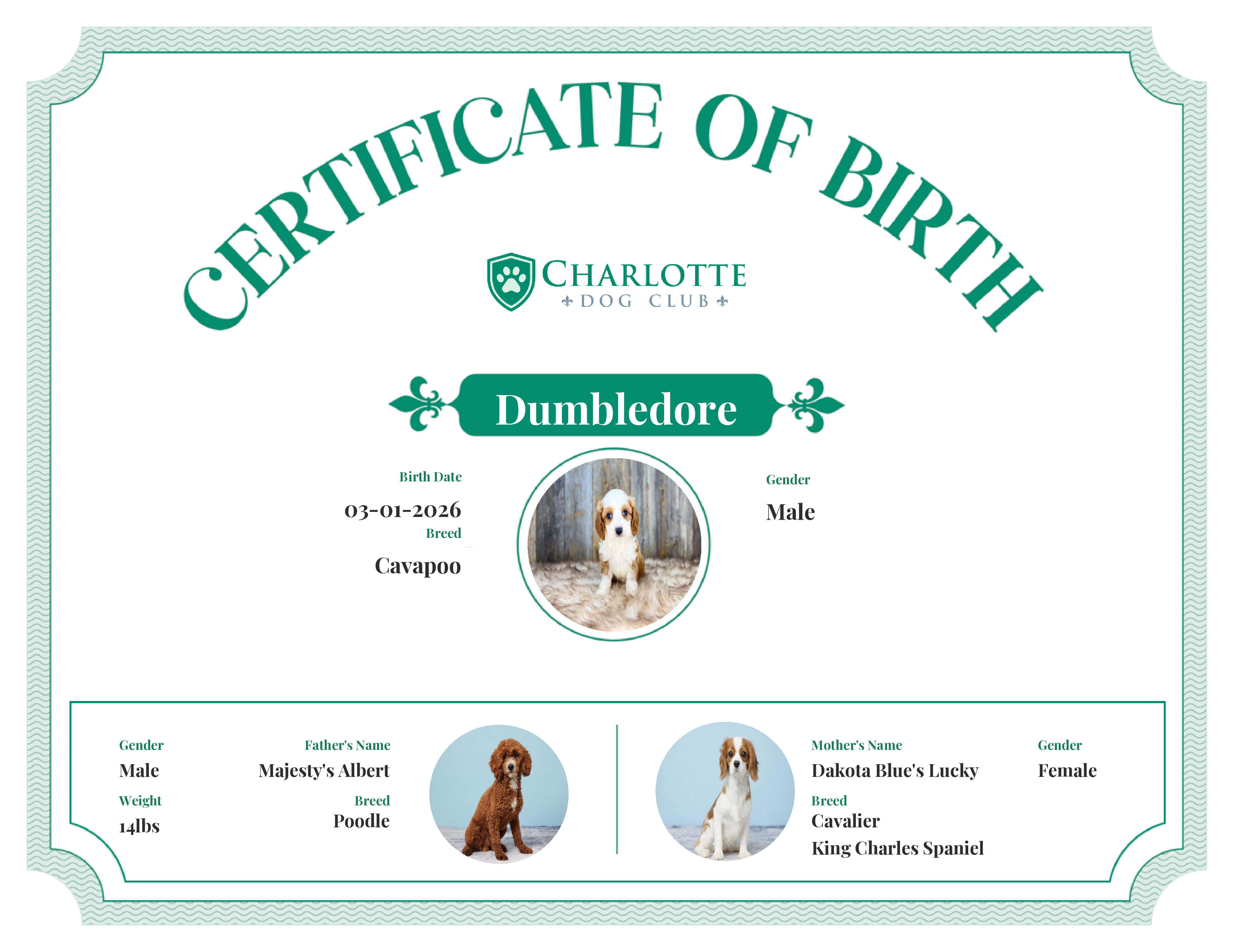 Dumbledore's Birth Certificate