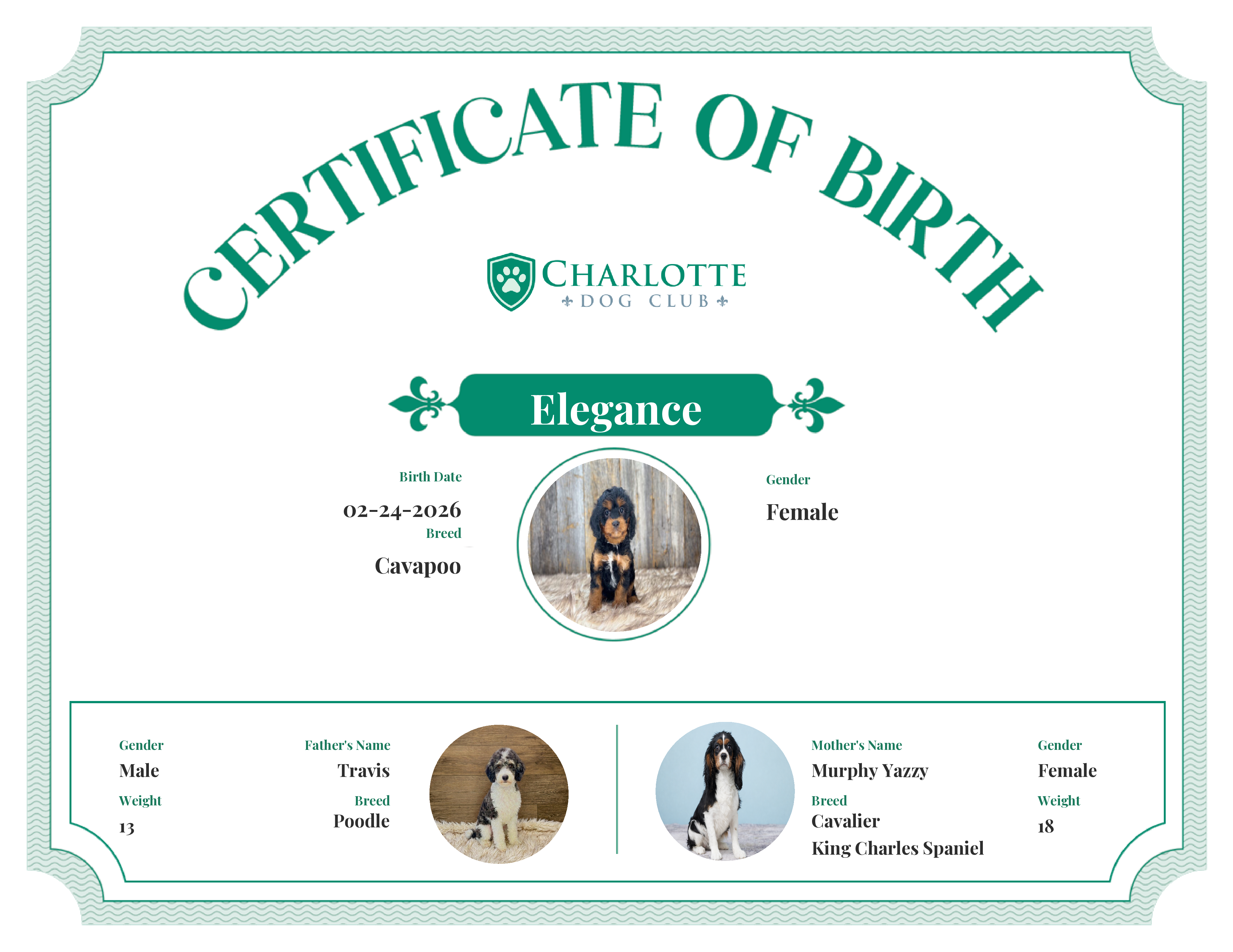 Elegance's Birth Certificate