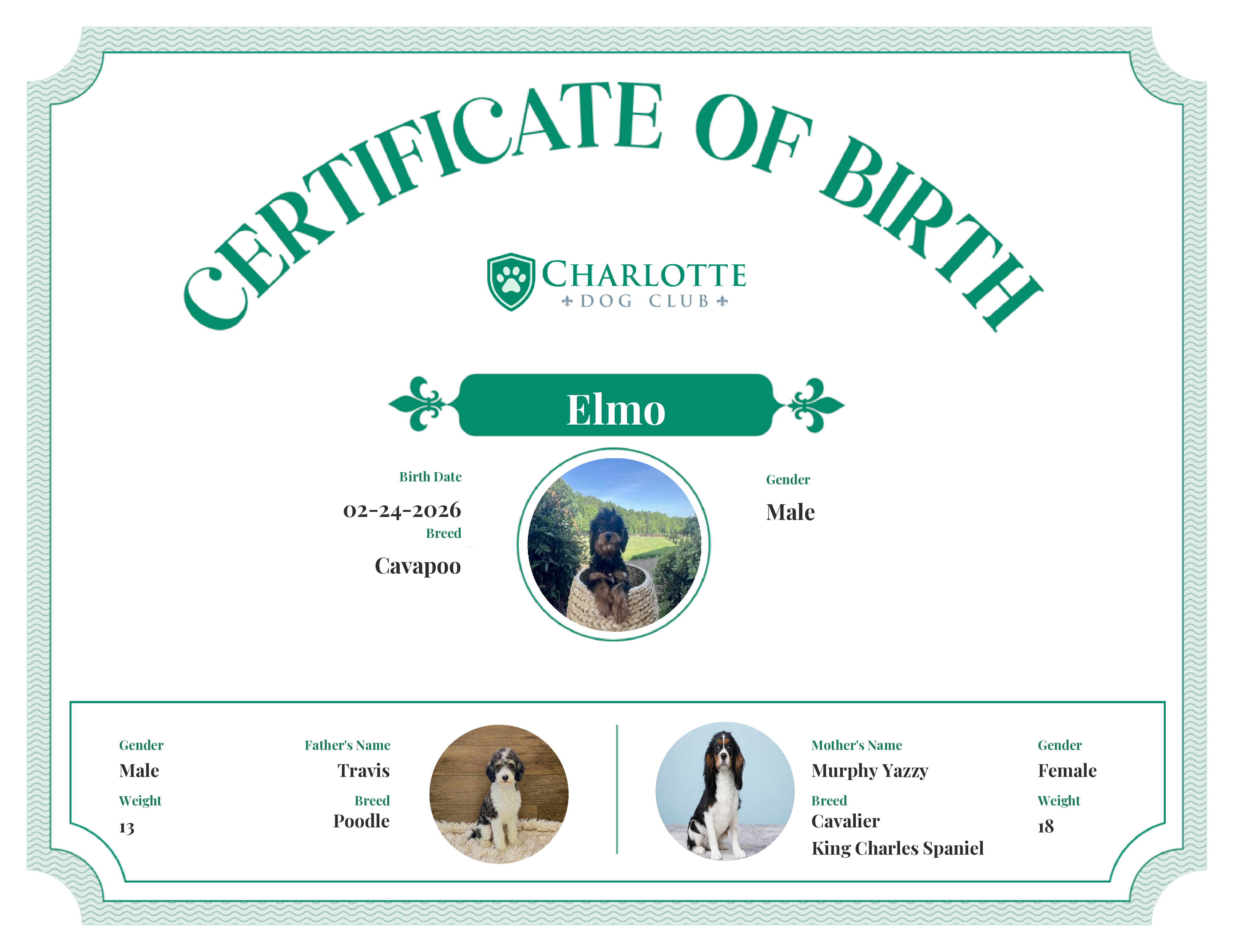 Elmo's Birth Certificate
