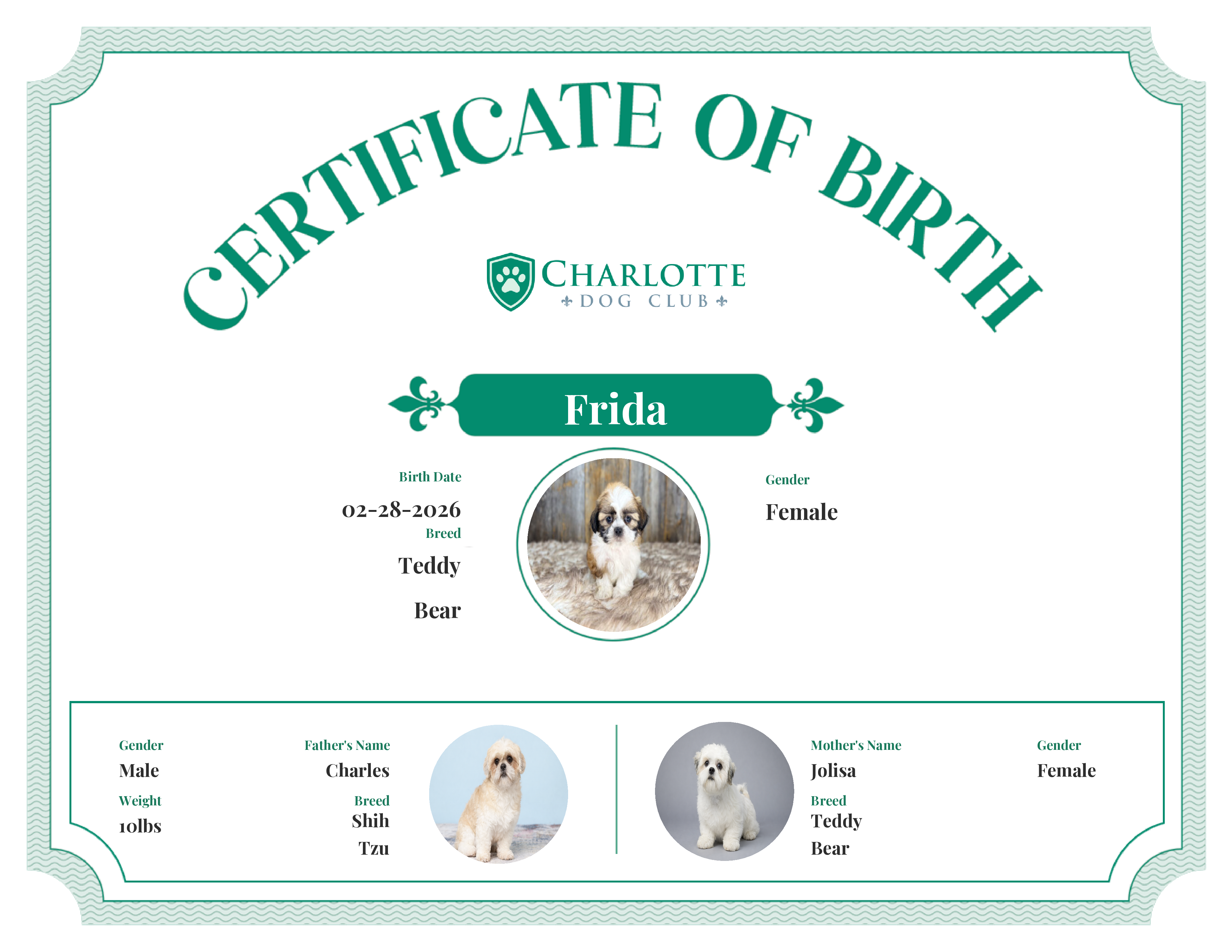 Frida's Birth Certificate