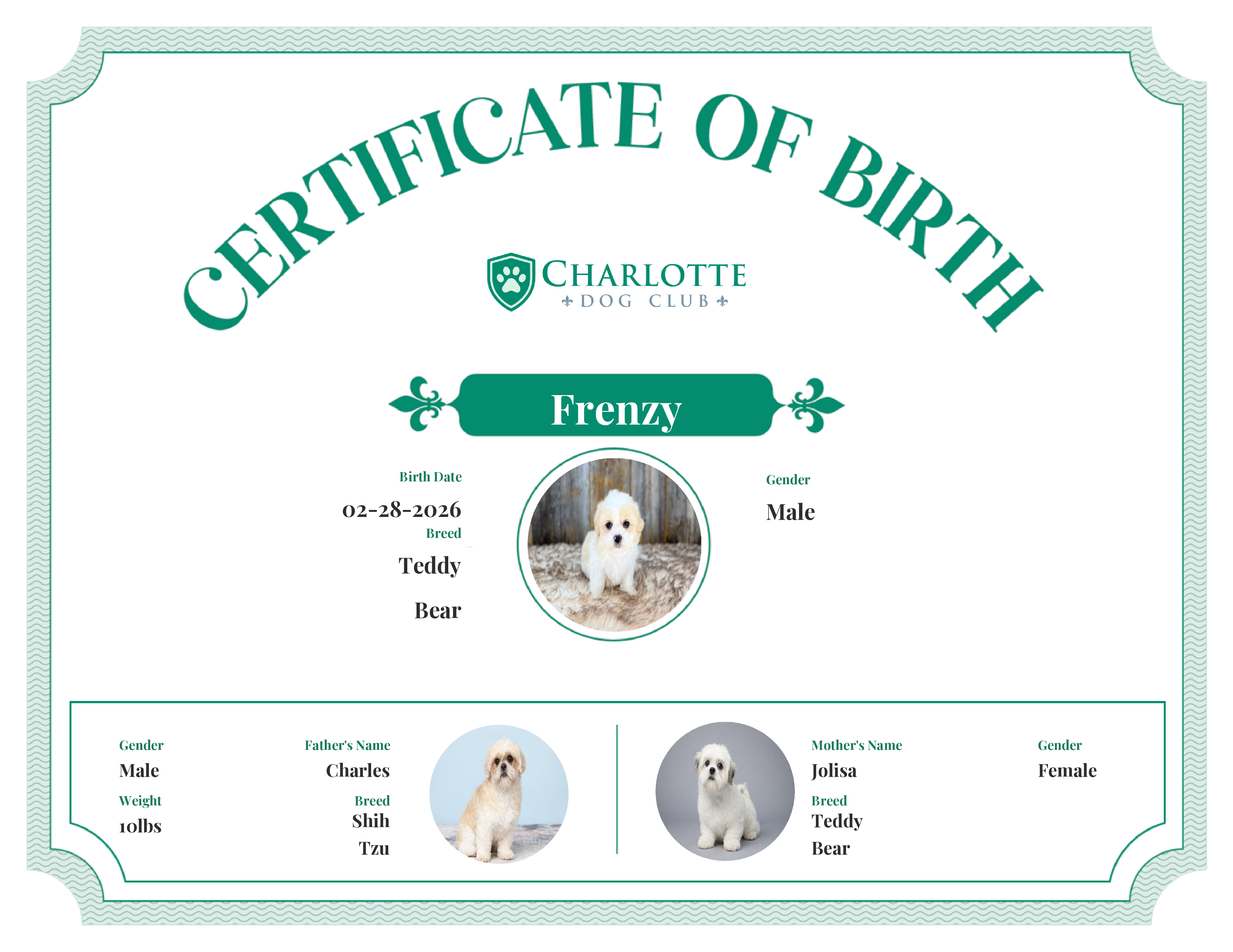 Frenzy's Birth Certificate