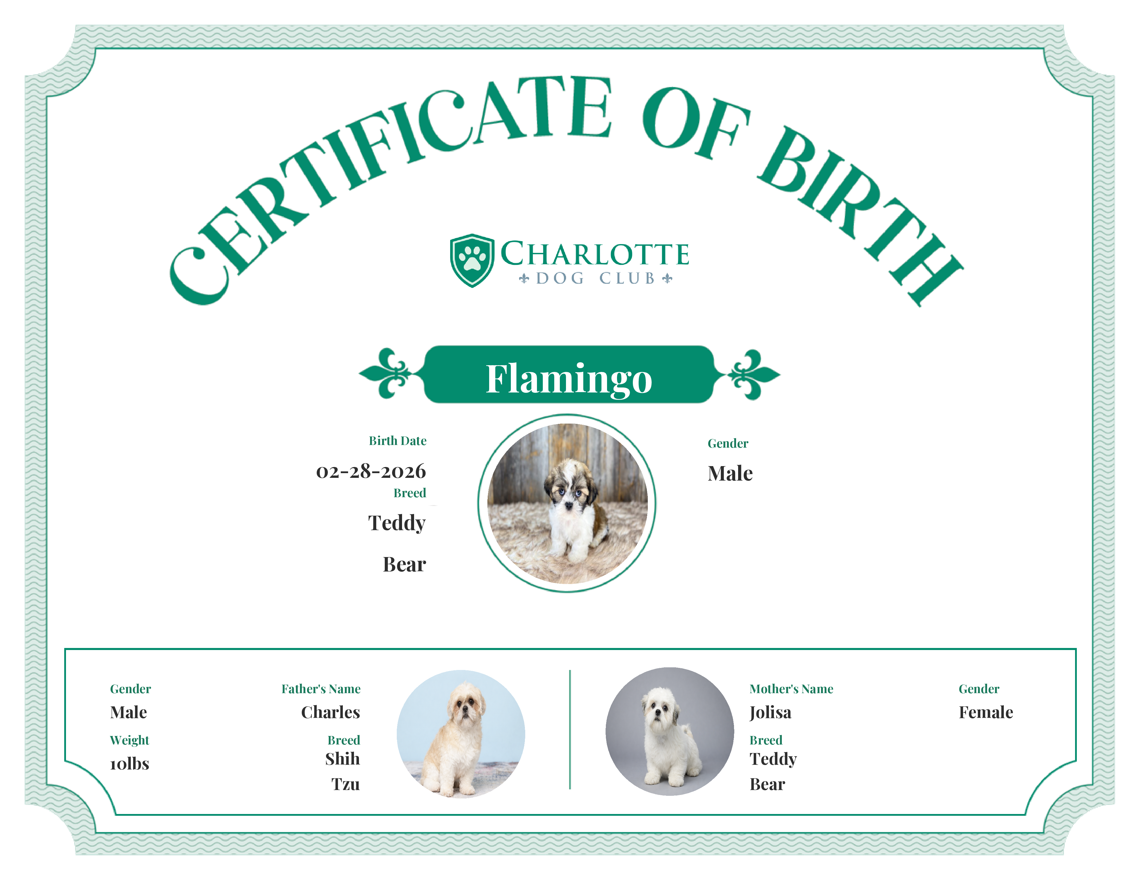 Flamingo's Birth Certificate